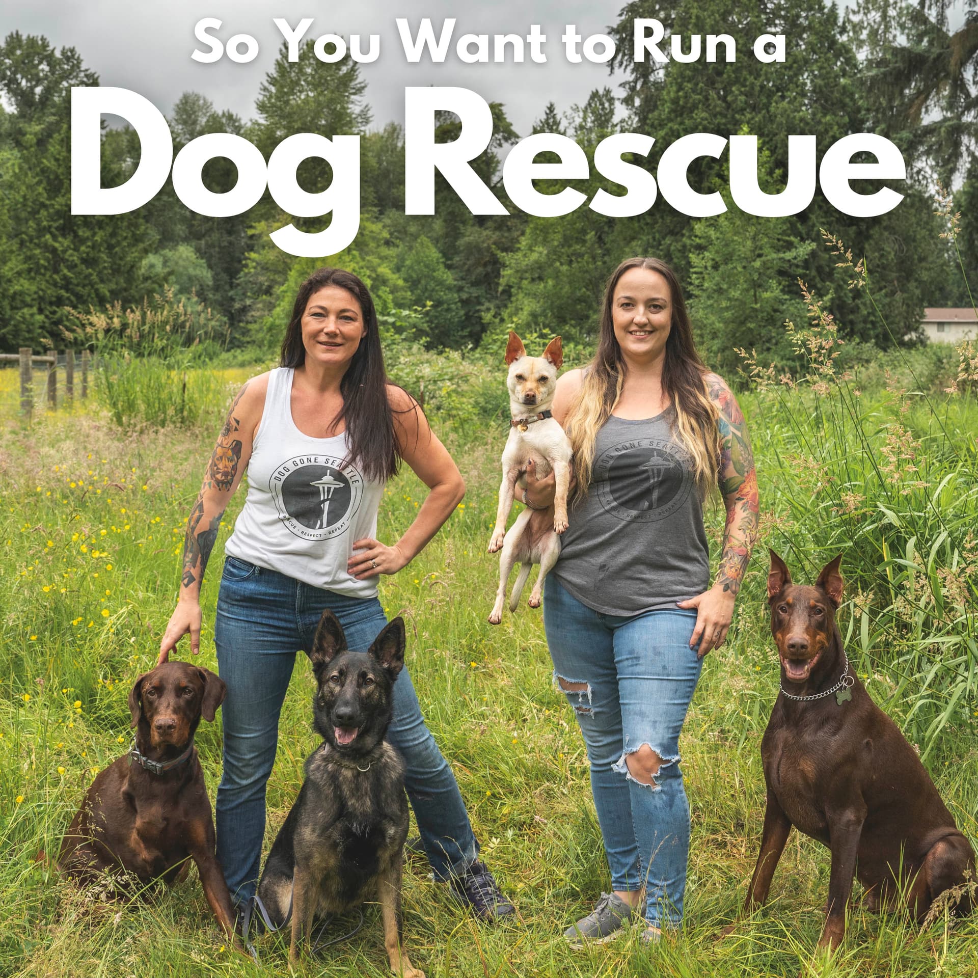 So You Want to Run a Dog Rescue - Podcasts