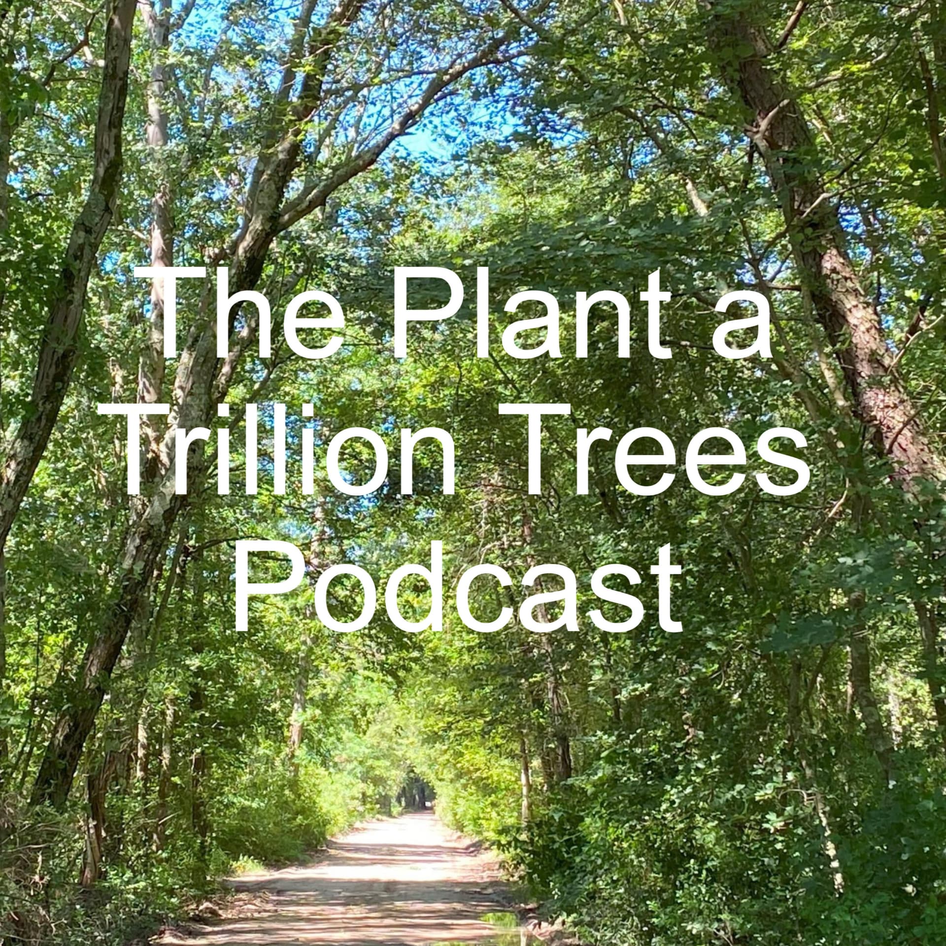 The Plant a Trillion Trees Podcast - Podcasts
