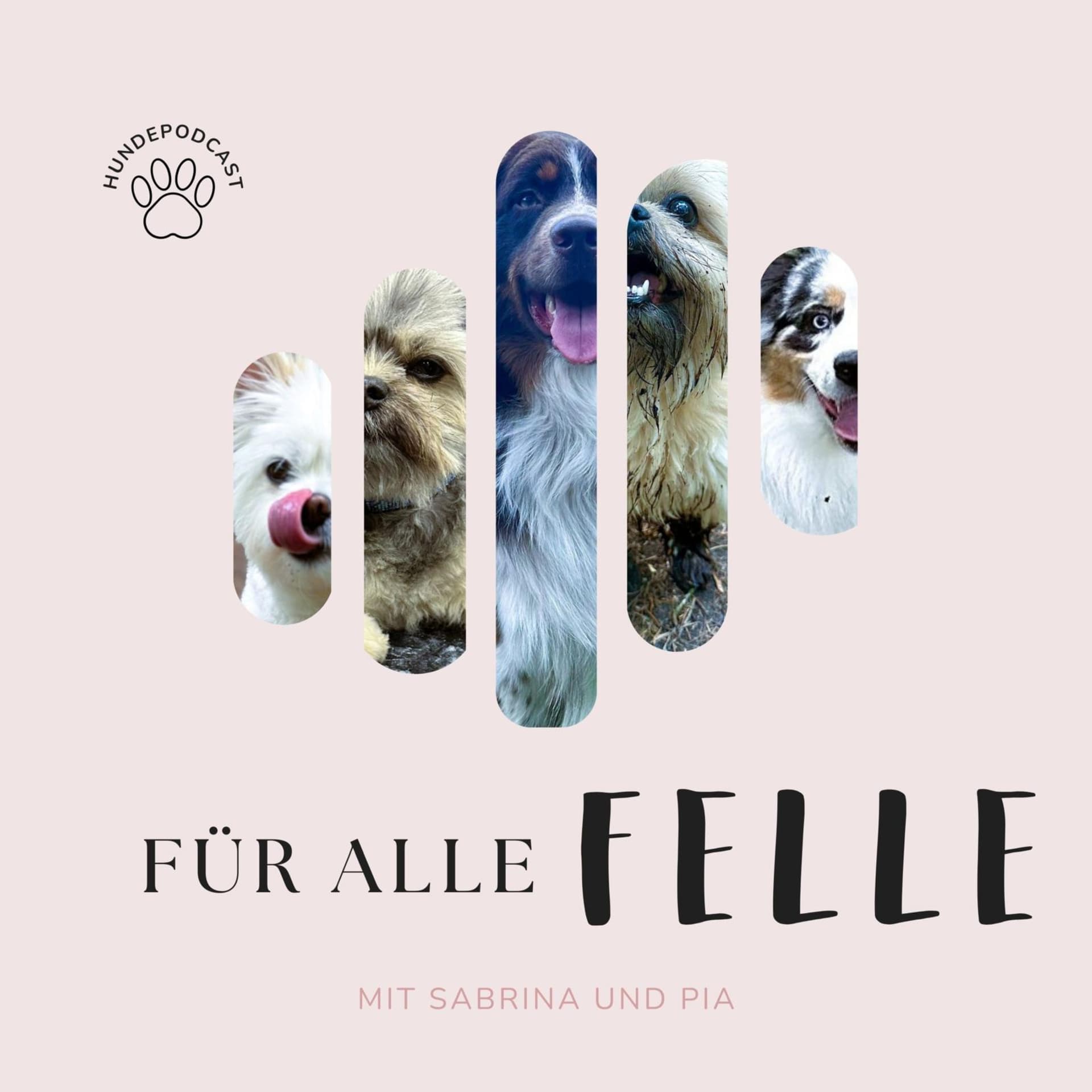 Für alle Felle
