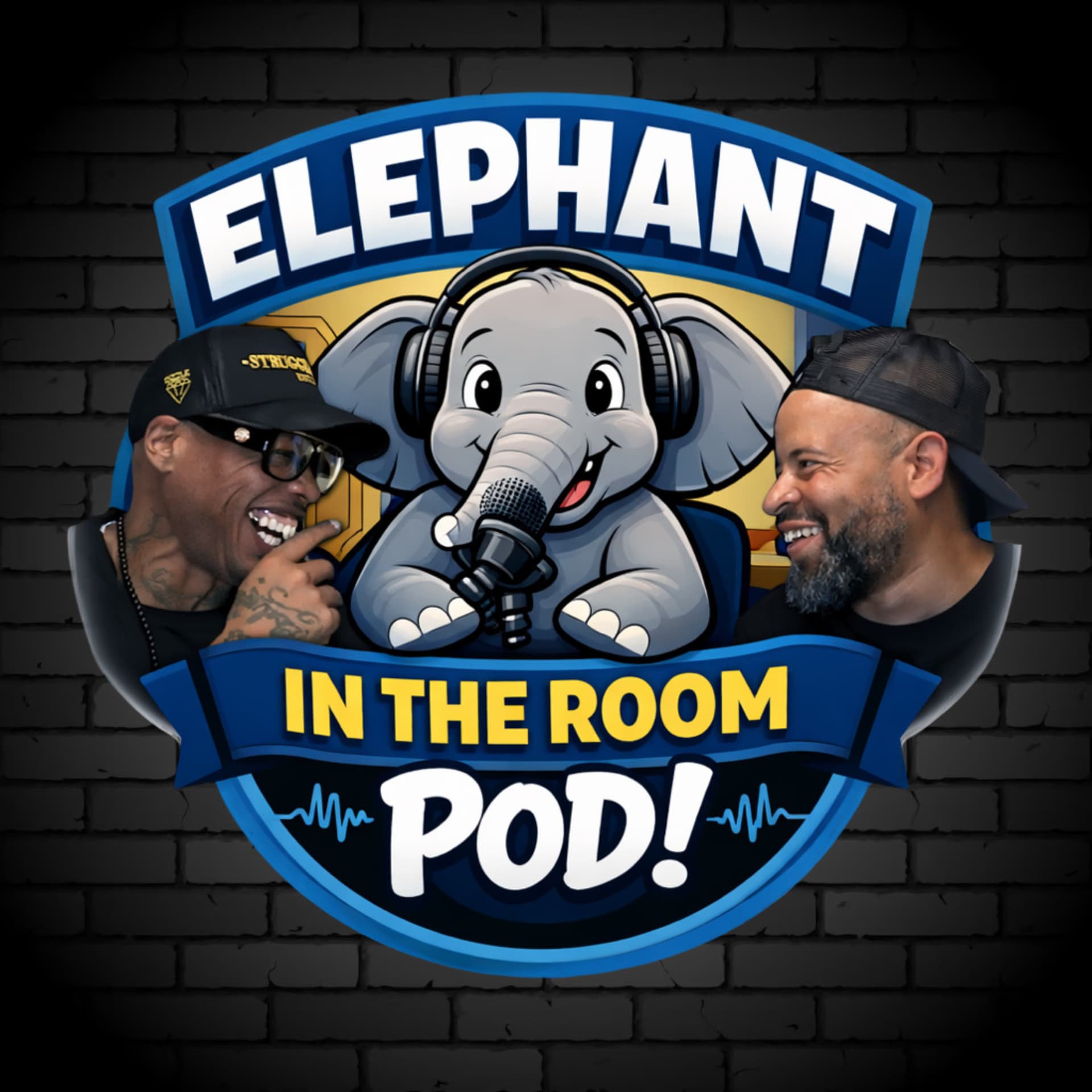 Elephant In The Room Pod! - Podcasts