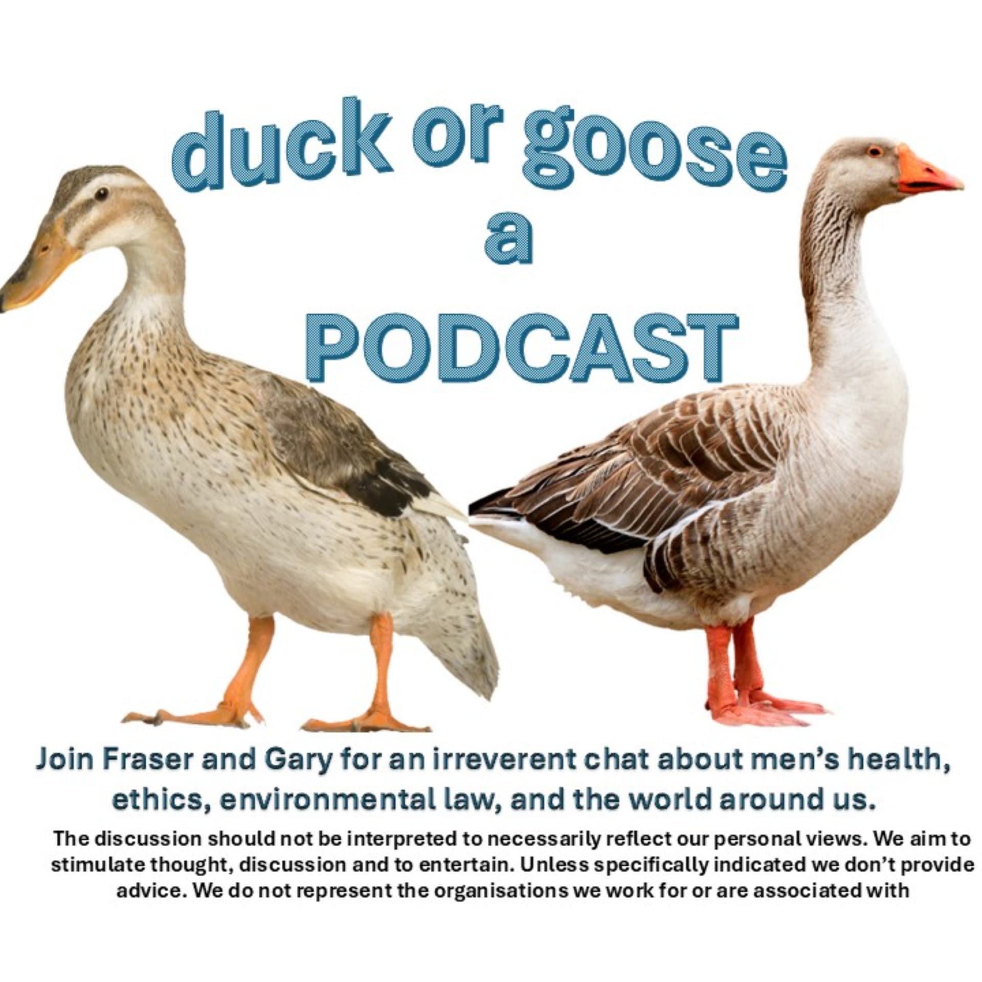 Duck or Goose - A Podcast - Podcasts