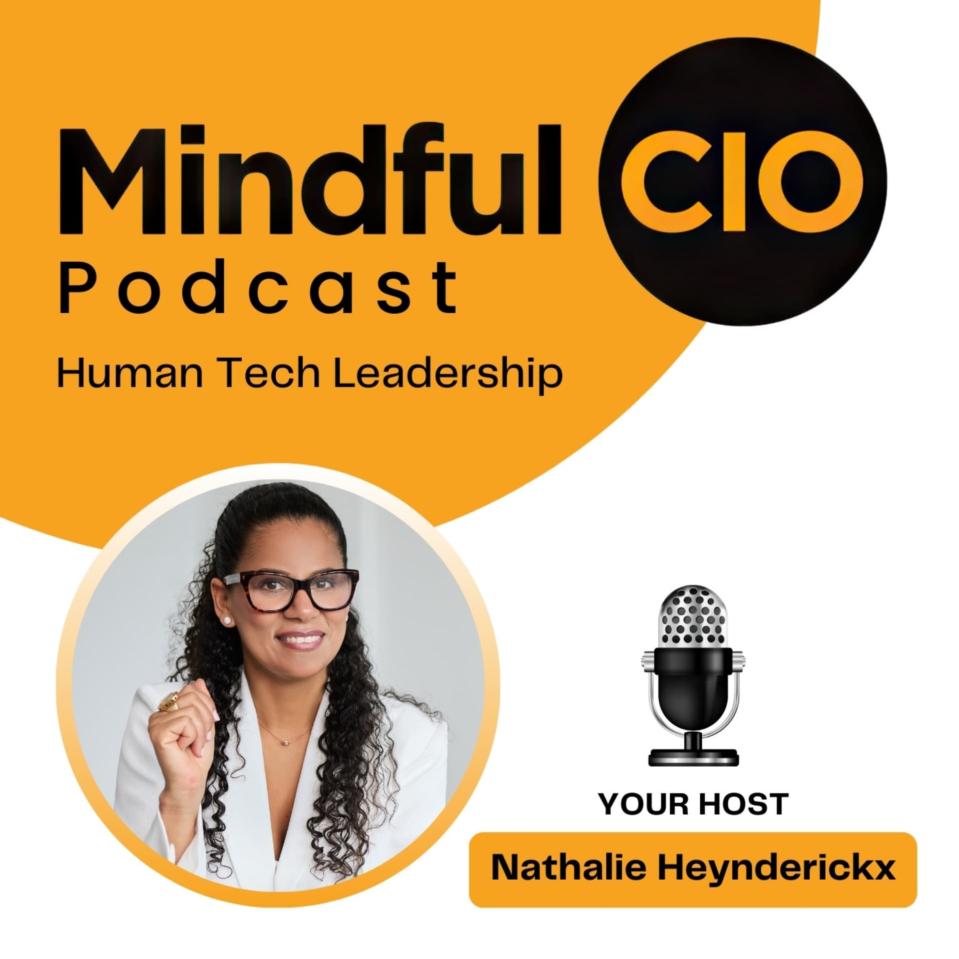 Mindful CIO Podcast - Podcasts