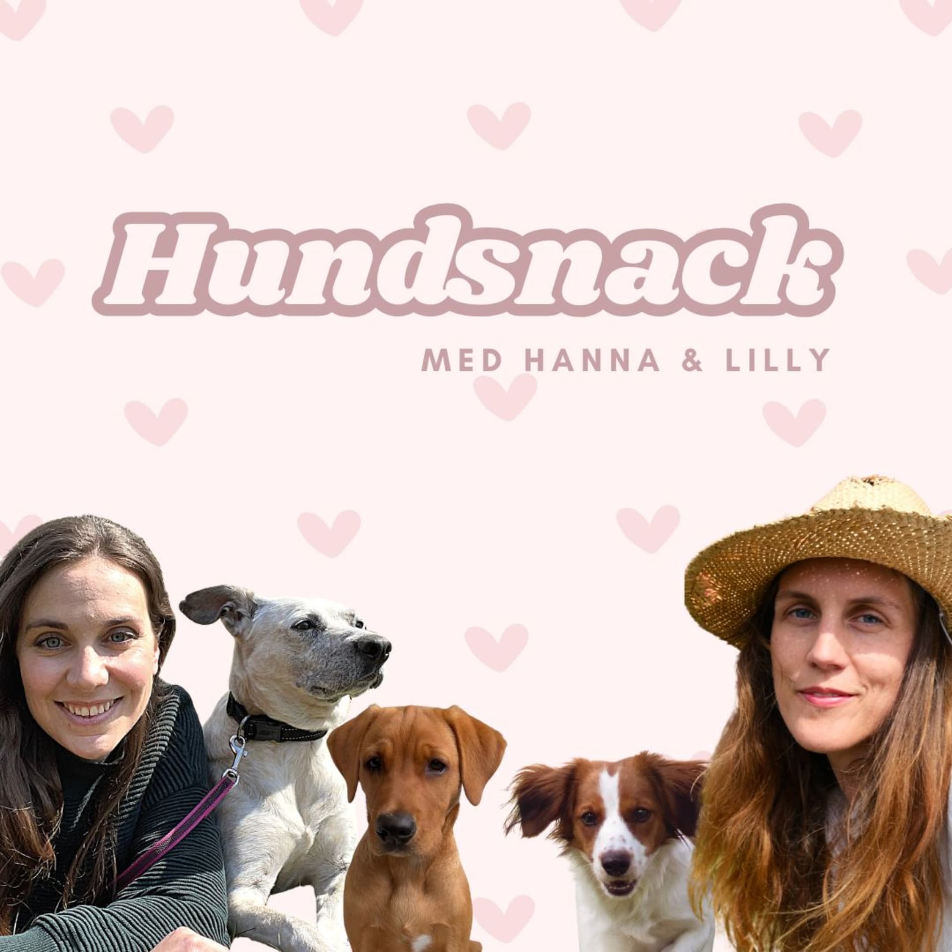 Hundsnack med Hanna och Lilly - Podcasts