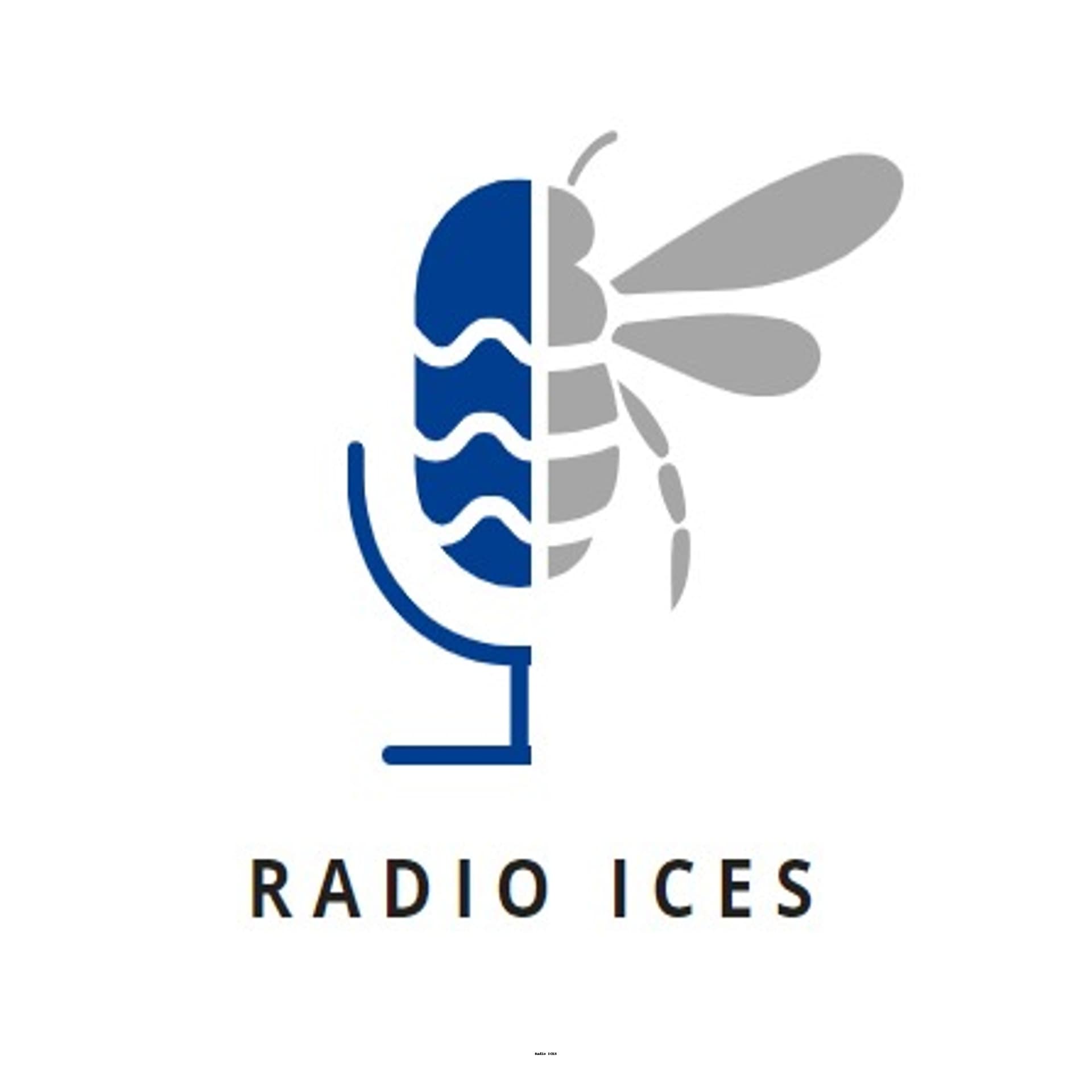 Radio ICES - Podcasts