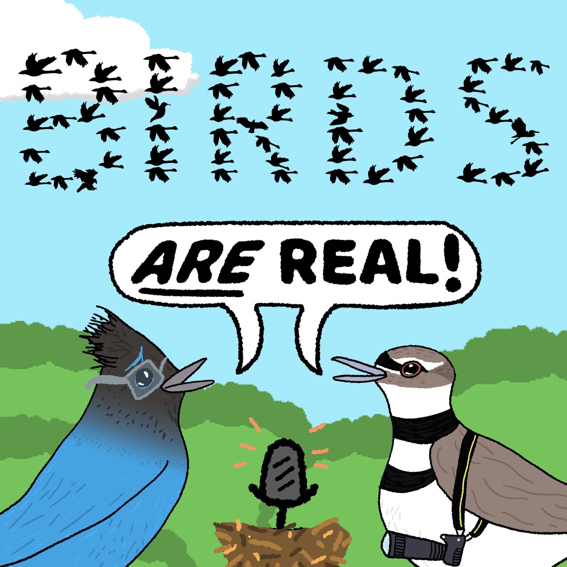 Birds Are Real Podcast - Podcasts