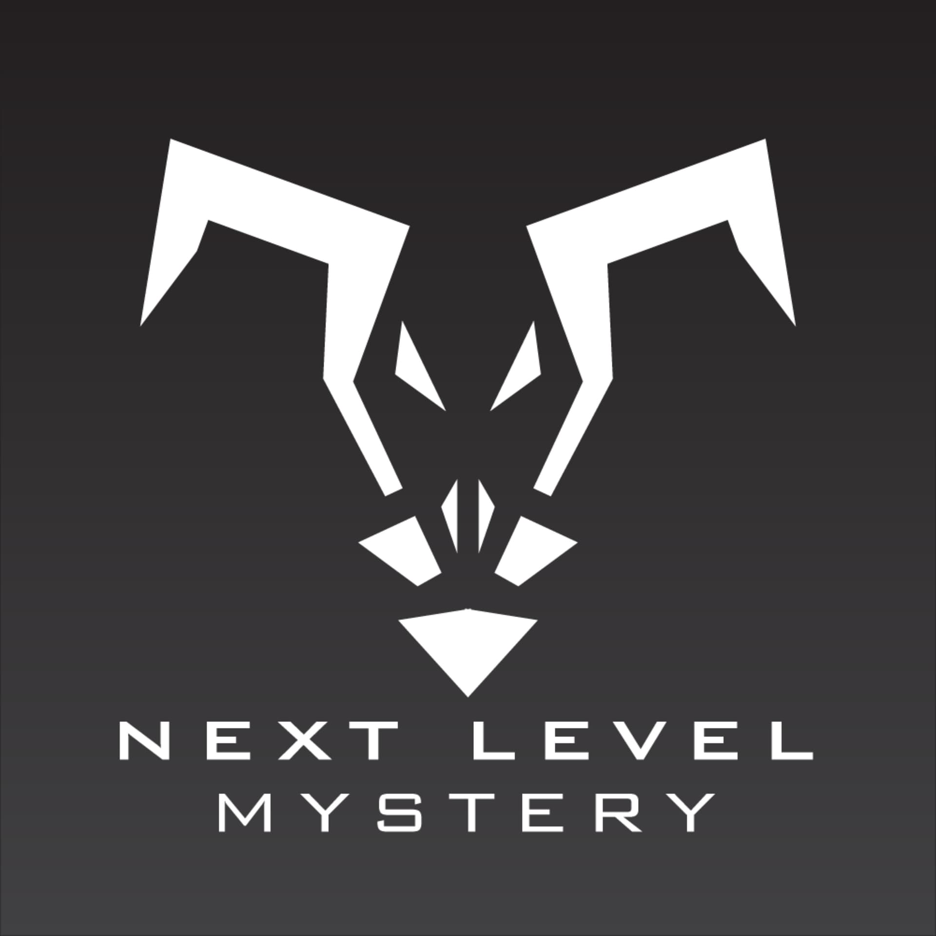 Next Level Mystery