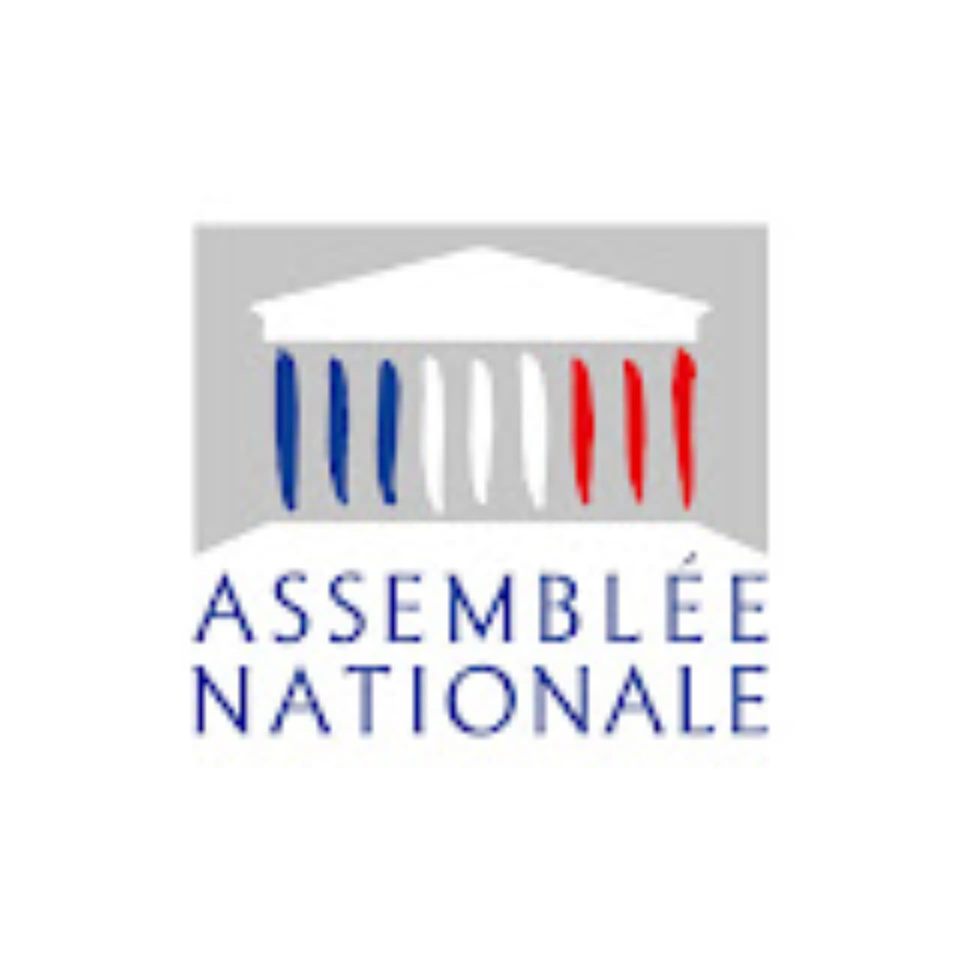 Séances publiques de l'Assemblée nationale