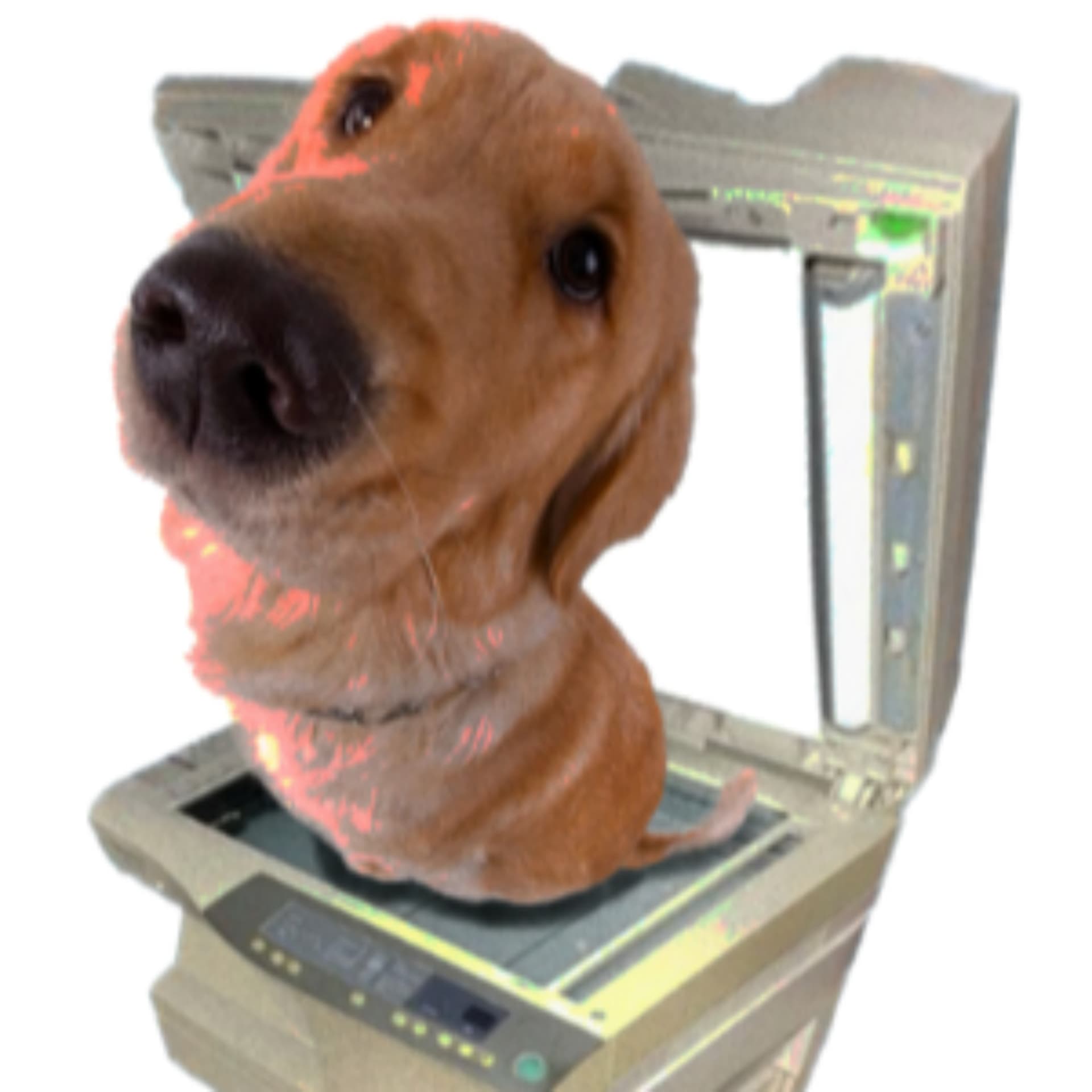 Woof and Print - Podcasts