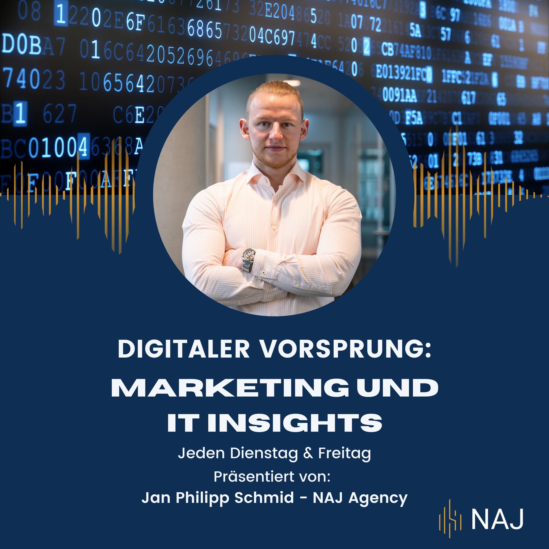 Digitaler Vorsprung: Marketing und IT Insights - Podcasts