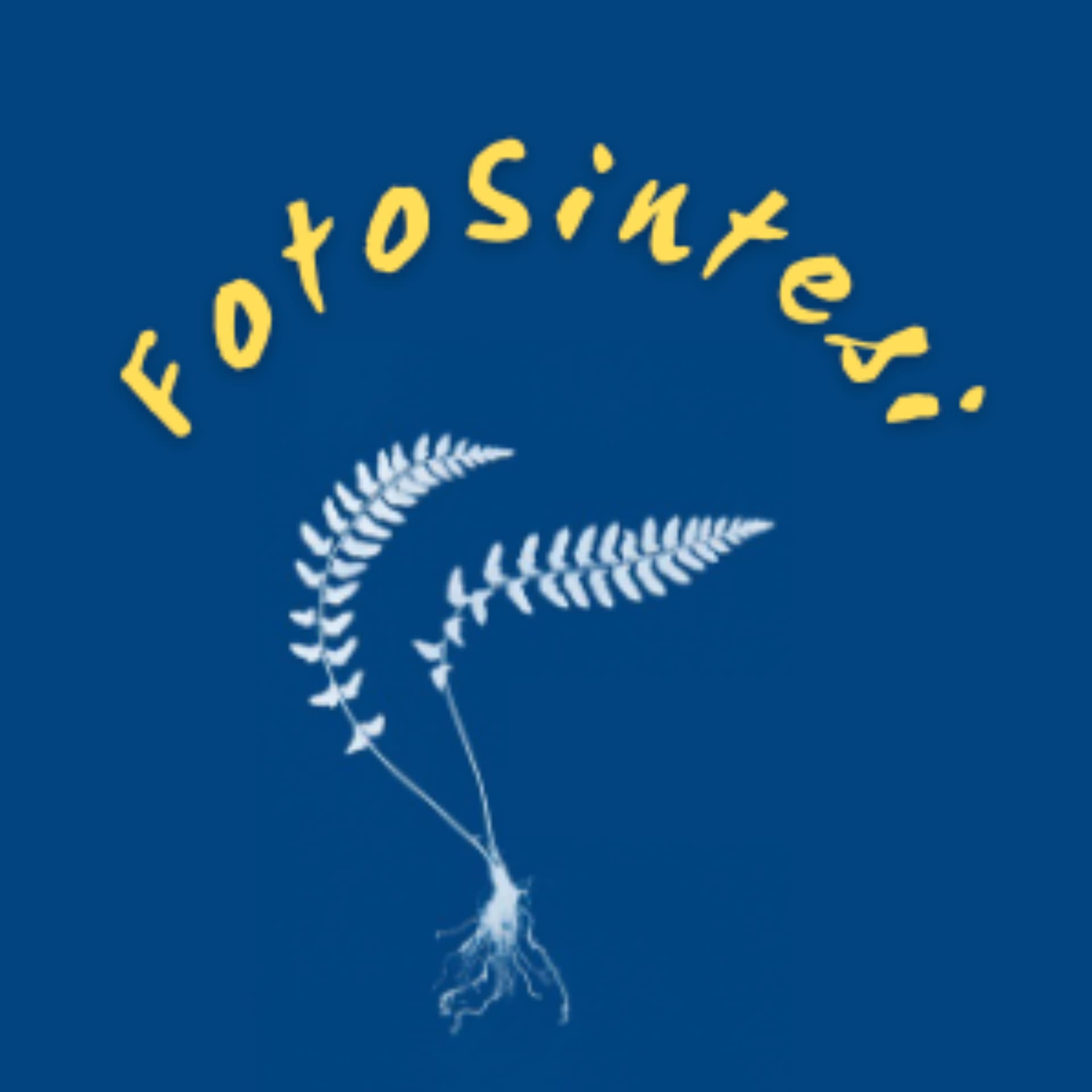 FotoSintesi - Podcasts