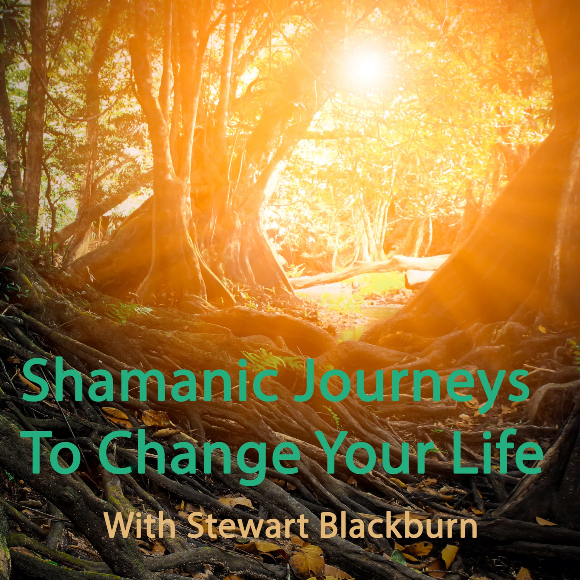 Shamanic Journeys to Change Your Life - Podcasts