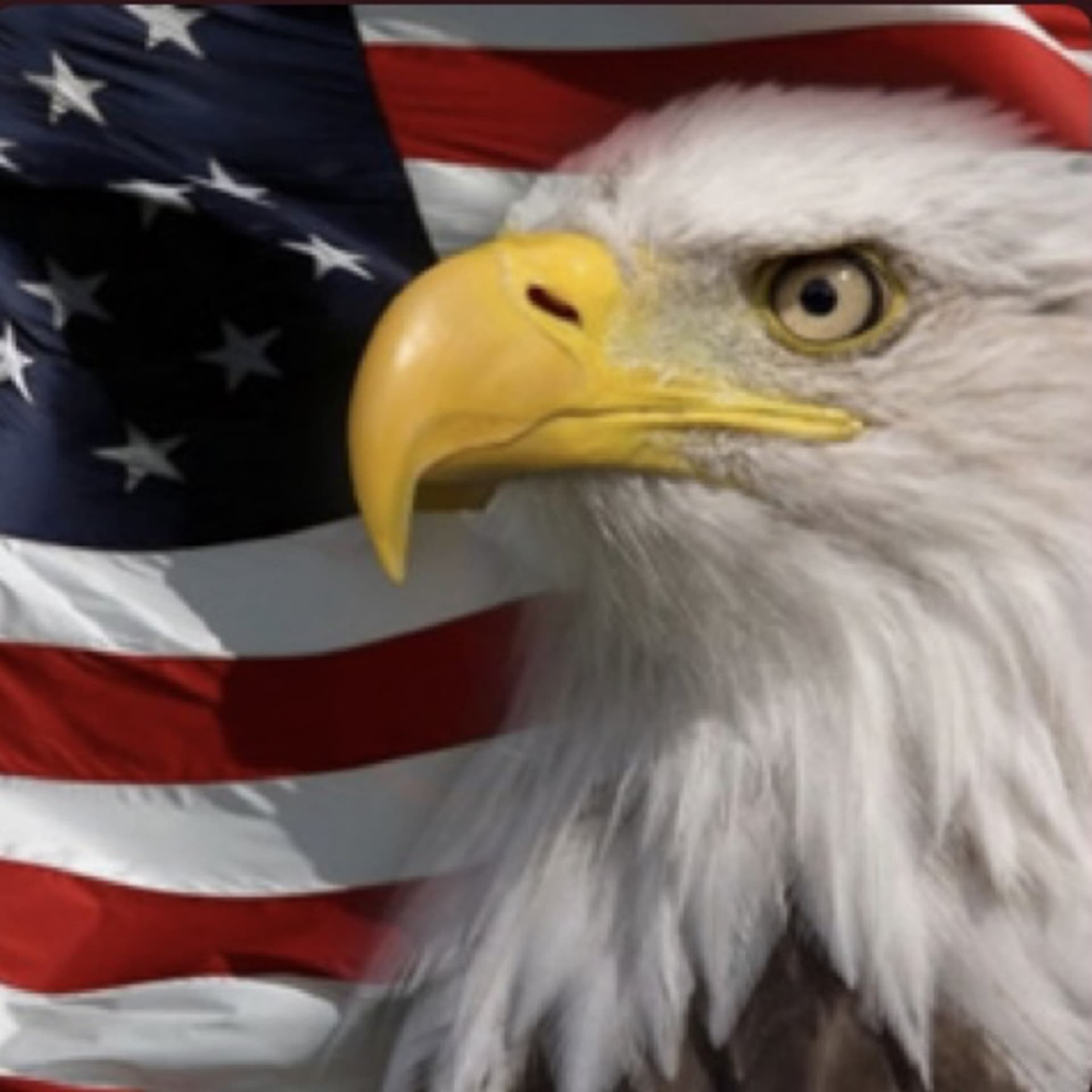 The Patriot Party: Truth, Transparency, the Constitution and America First. - Podcasts