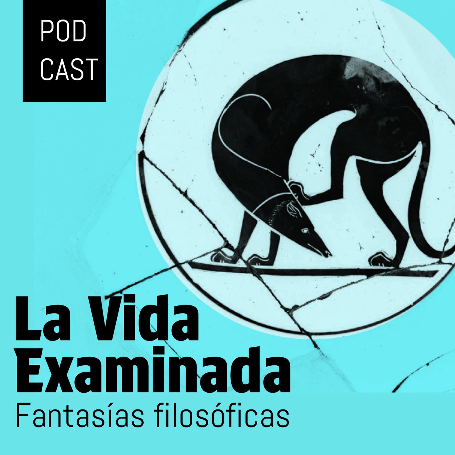 La vida examinada - Podcasts
