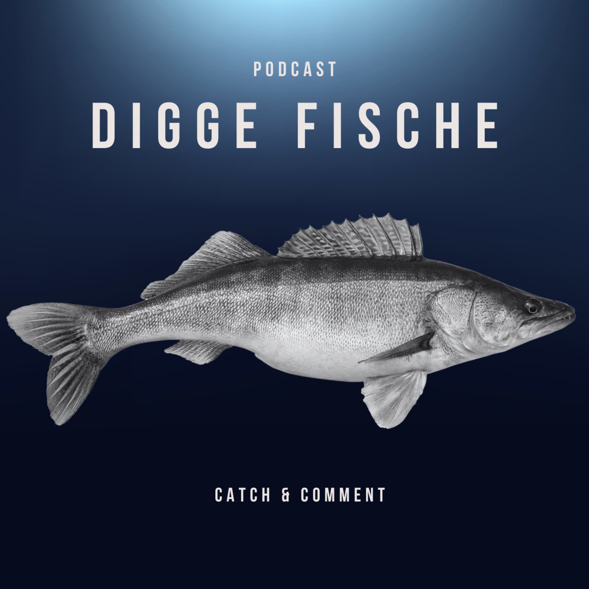 DIGGE FISCHE - Podcasts