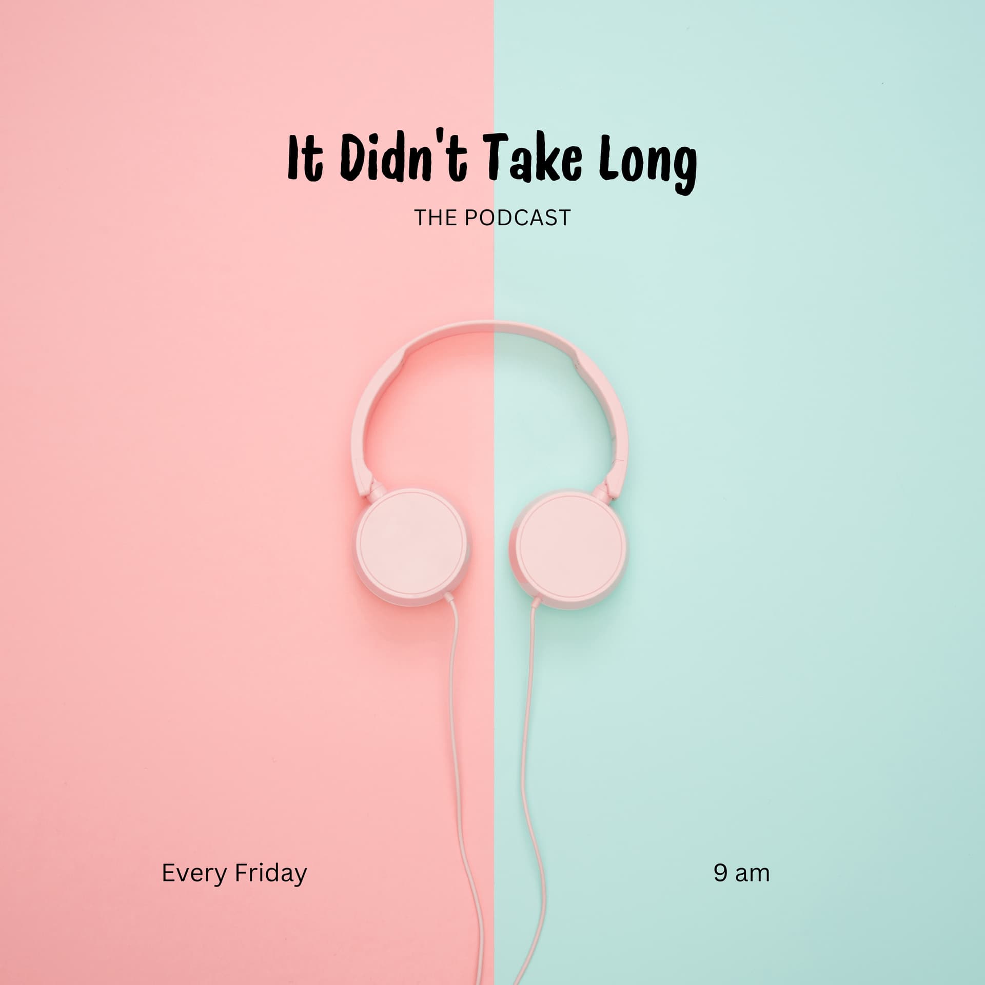It Didn't Take Long - Podcasts