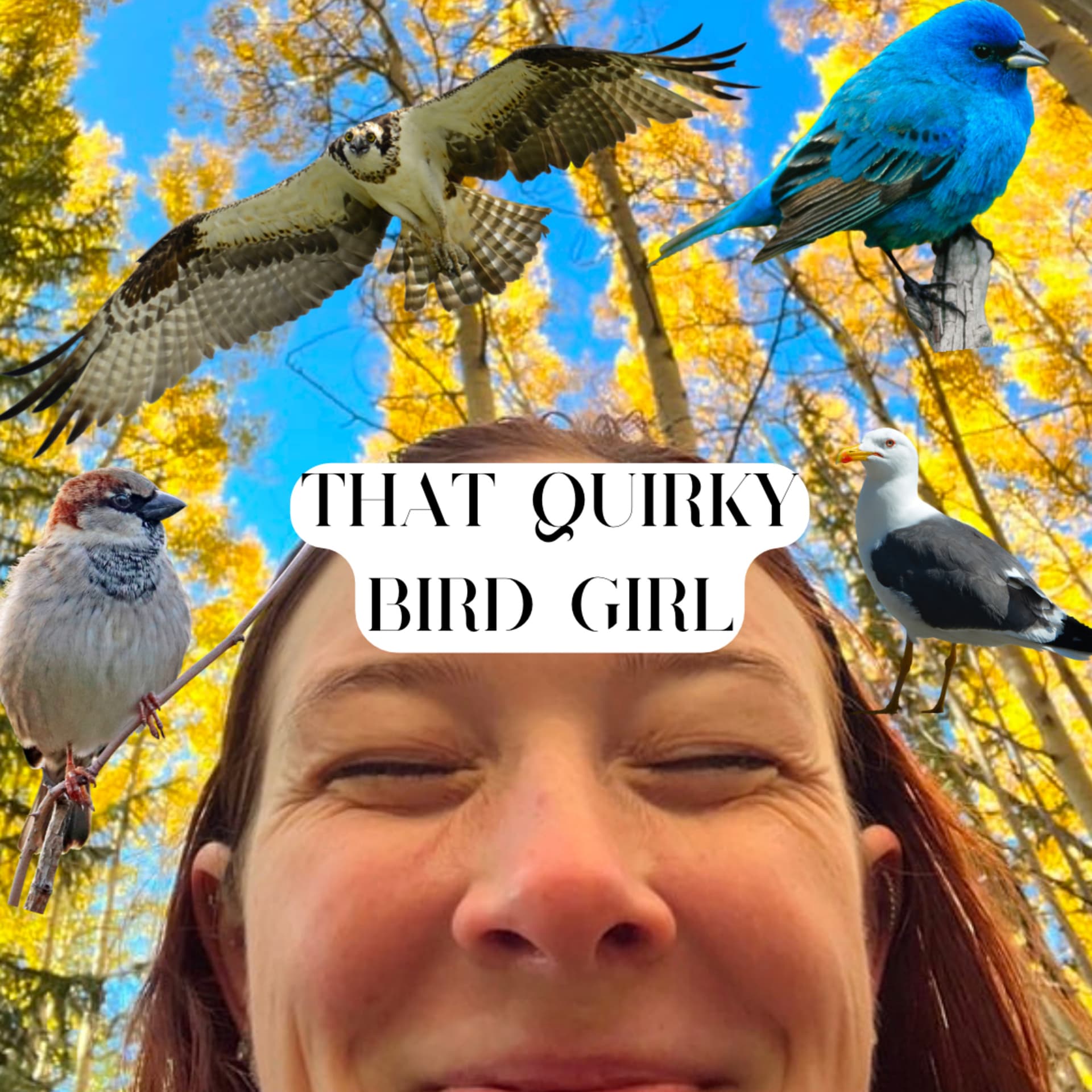 that quirky bird girl - Podcasts