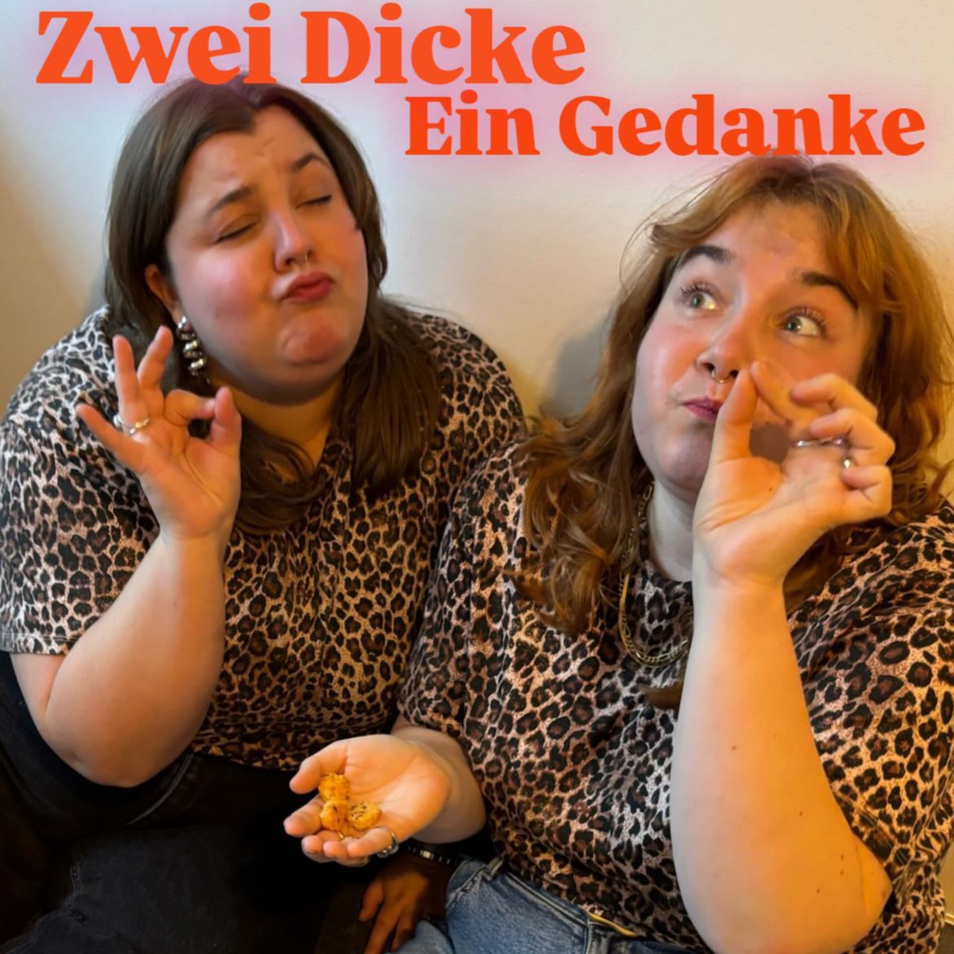 Zwei Dicke ein Gedanke - Podcasts