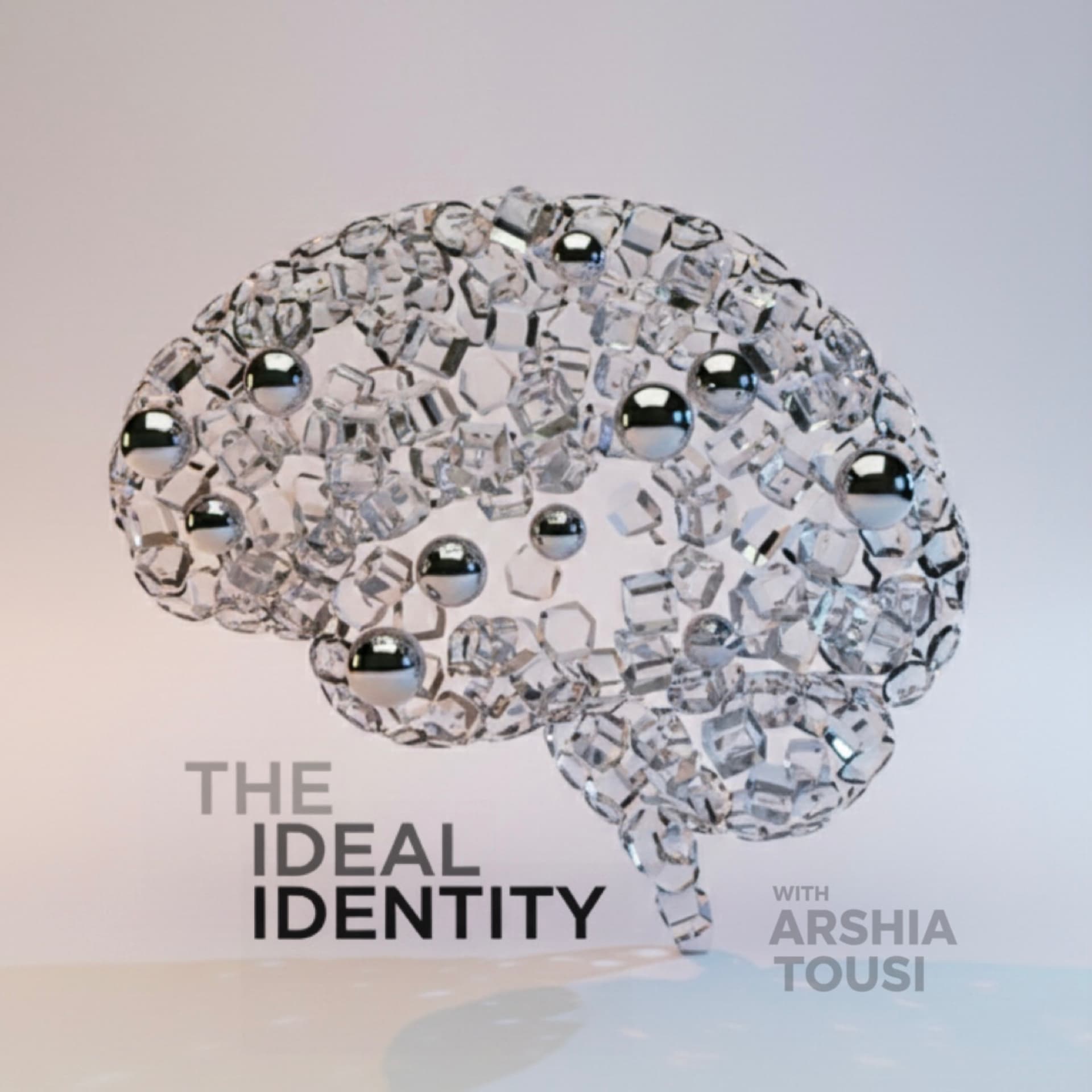 The Ideal Identity - Podcasts