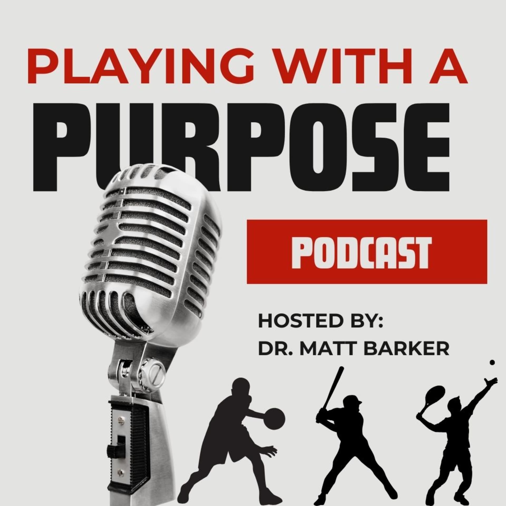 Playing With A Purpose Podcast
