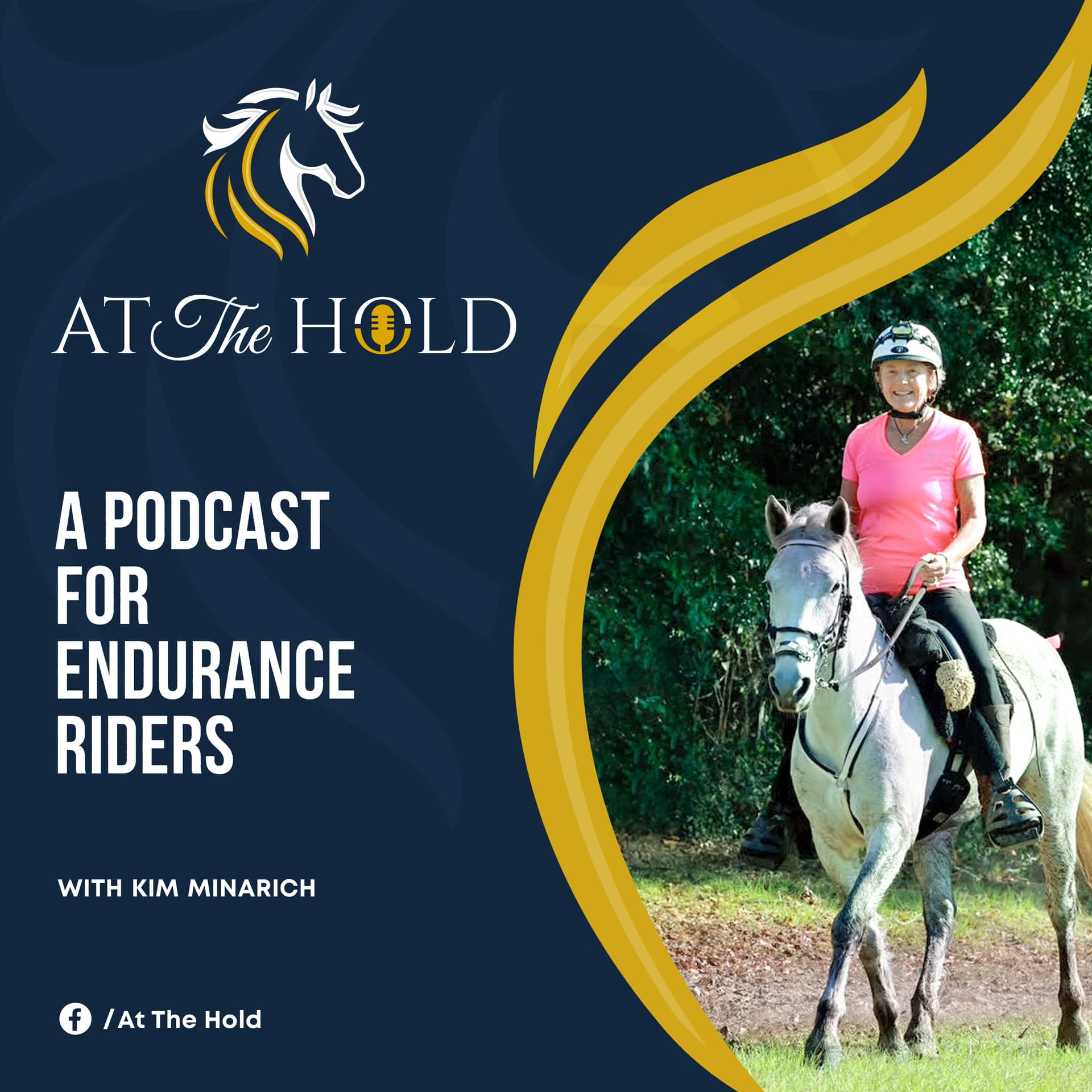 At The Hold: A Podcast for Endurance Riders - Podcasts