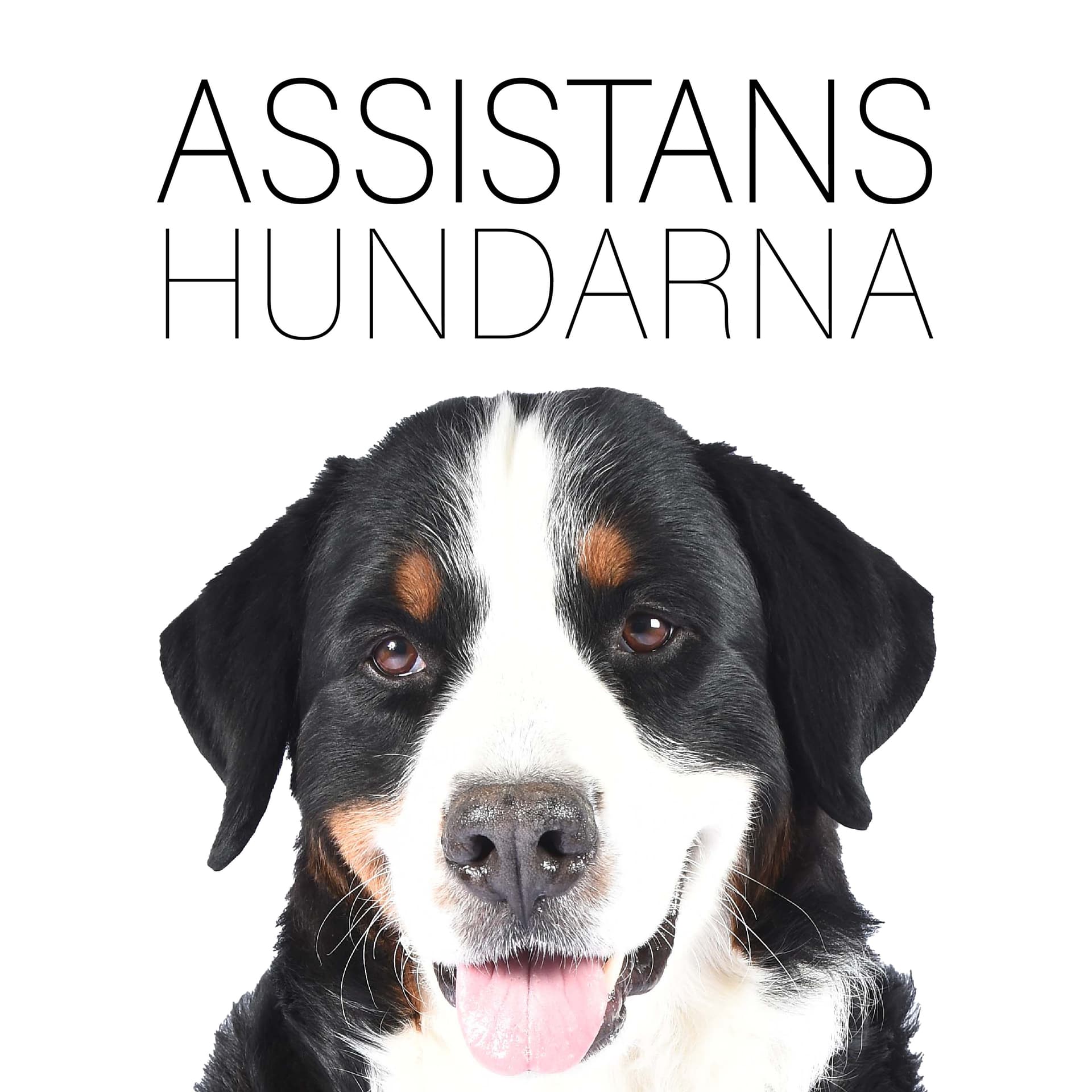 Assistanshundarna - Podcasts