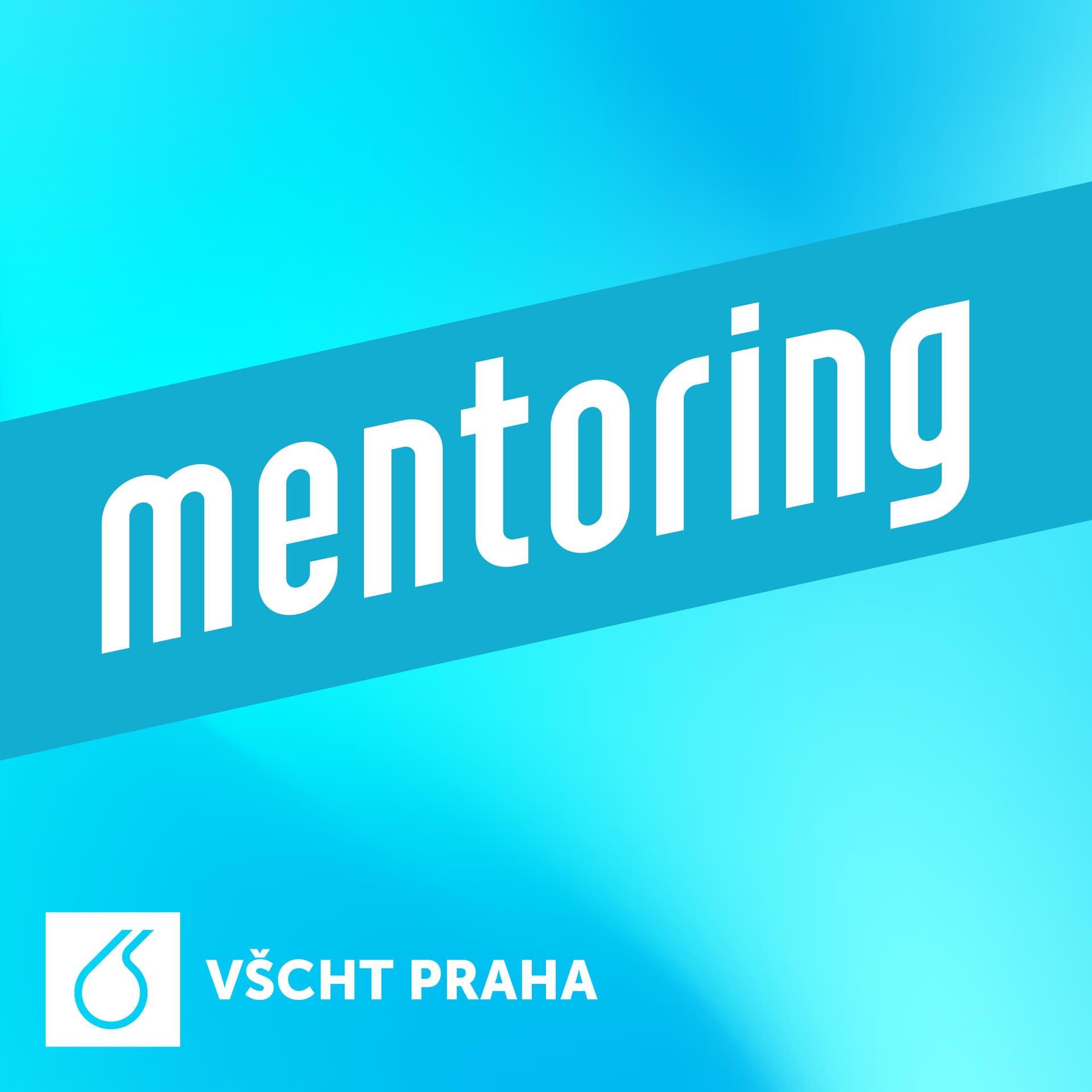 Mentoring VŠCHT Praha