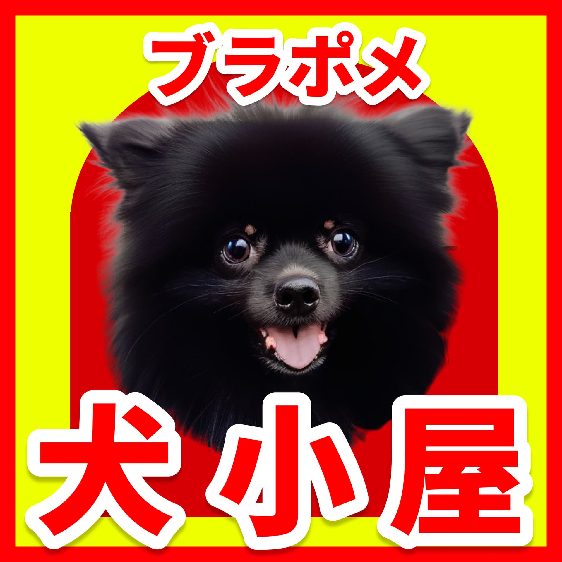 ブラックポメラニアンの犬小屋