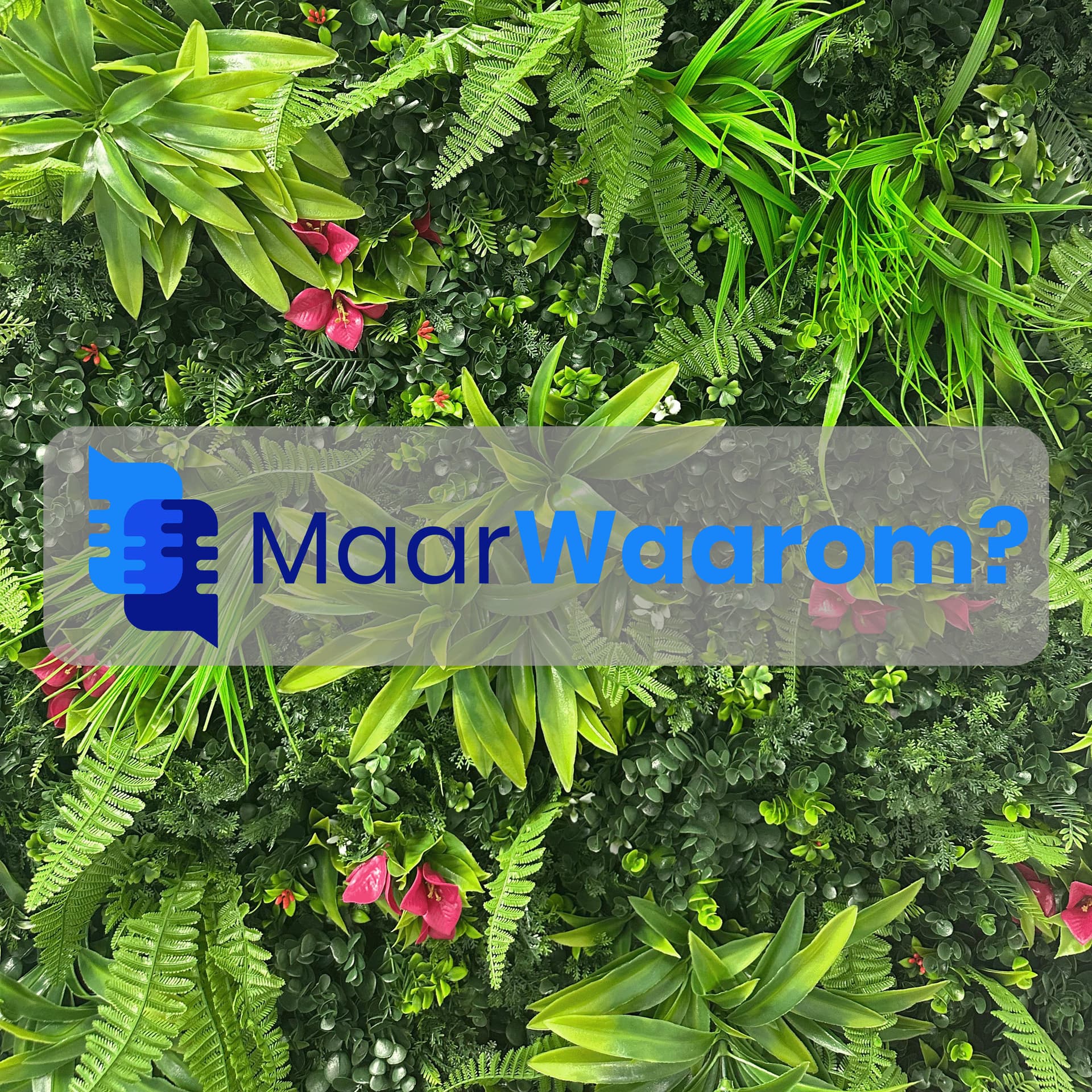 Maar, waarom? - Podcasts