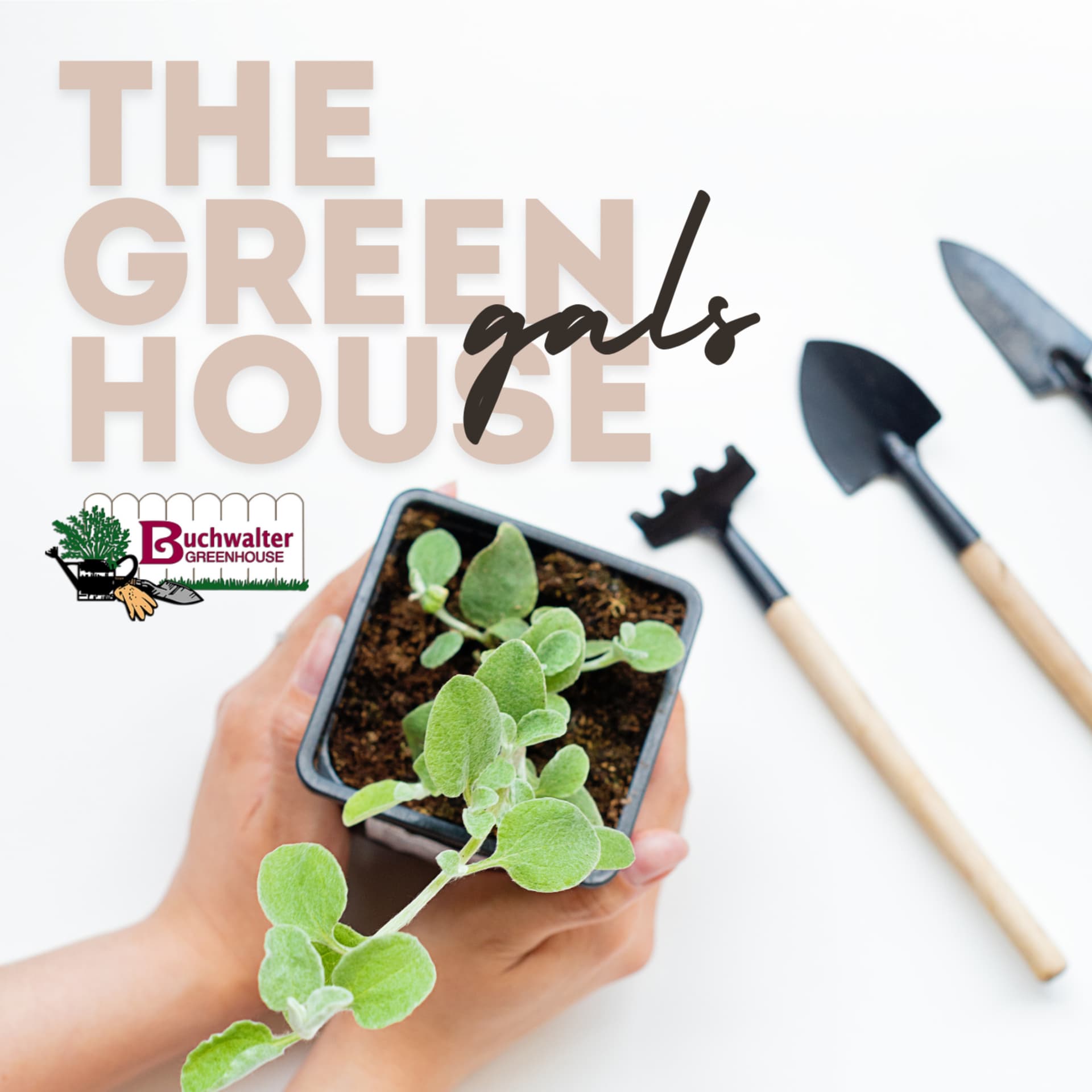 The Greenhouse Gals - Podcasts