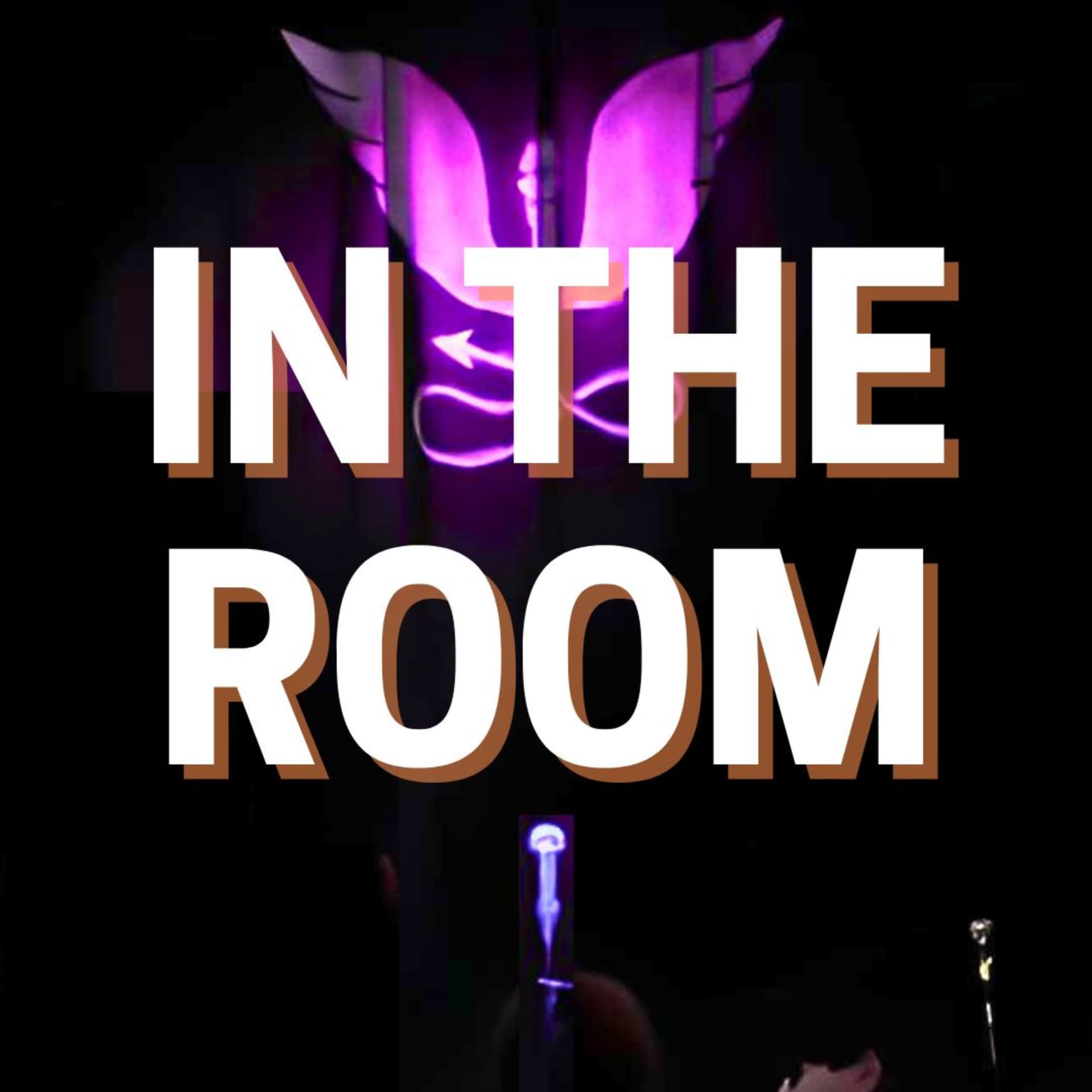 In The Room with Barry Ferns | Standup Comedy Podcast - Podcasts