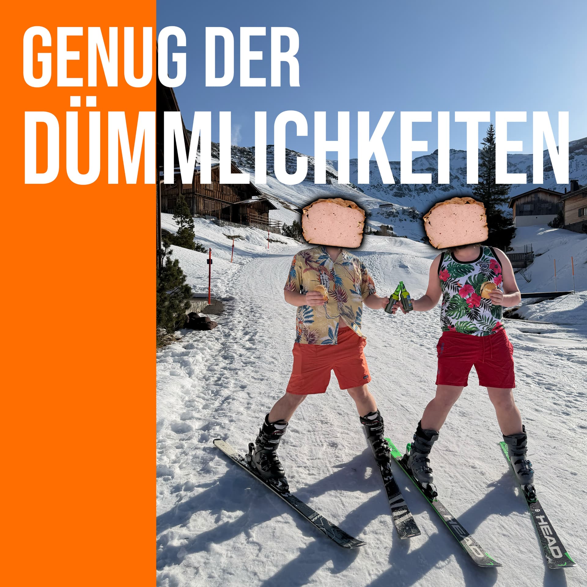 Genug der Dümmlichkeiten - Podcasts