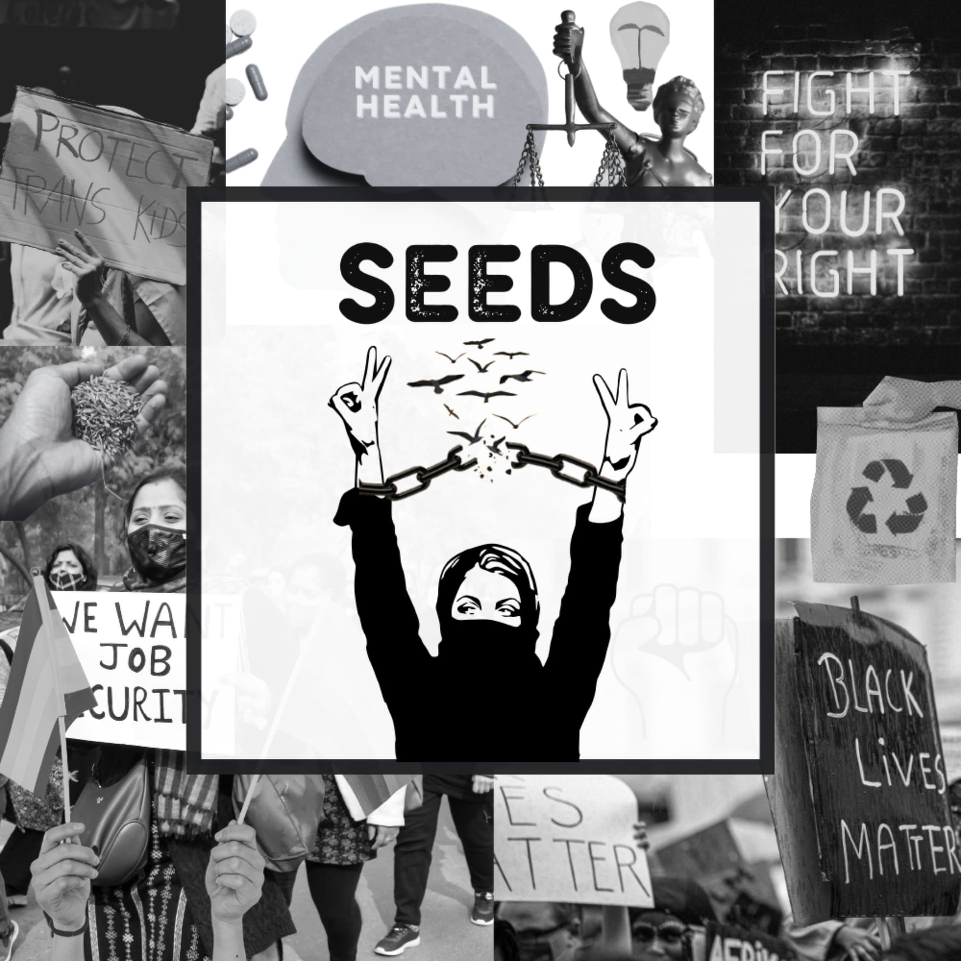 Seeds IRL - Podcasts