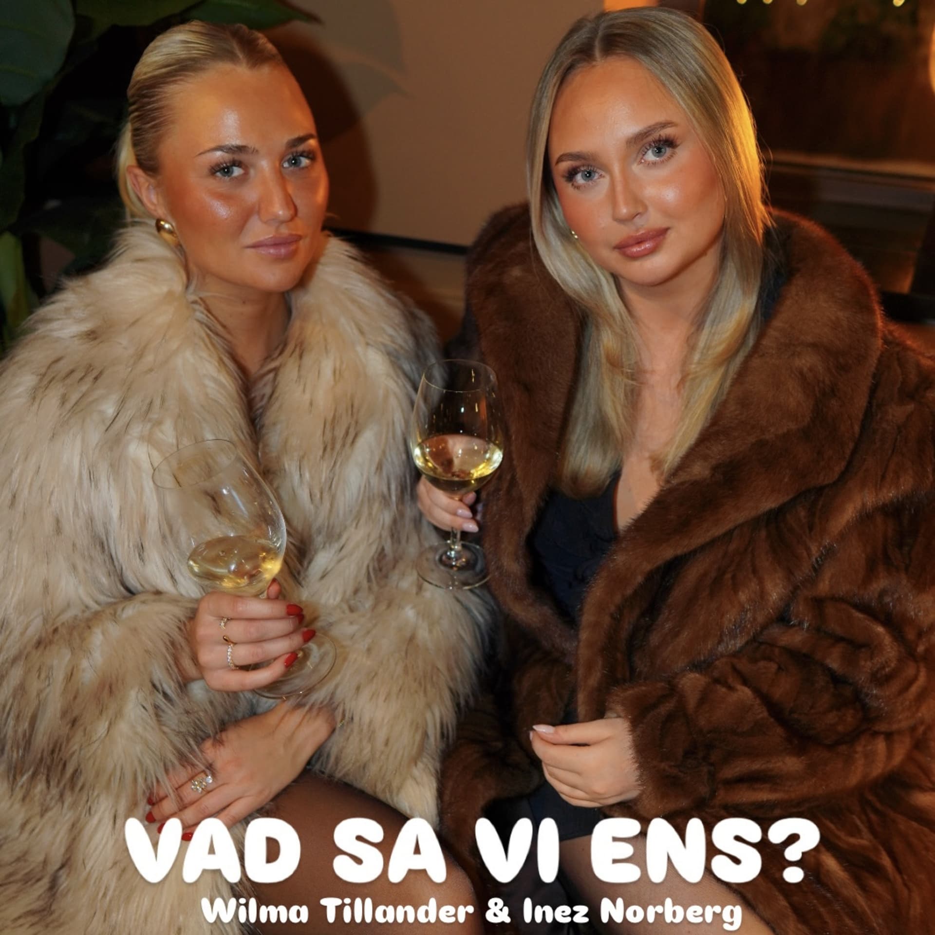 VAD SA VI ENS? - Podcasts