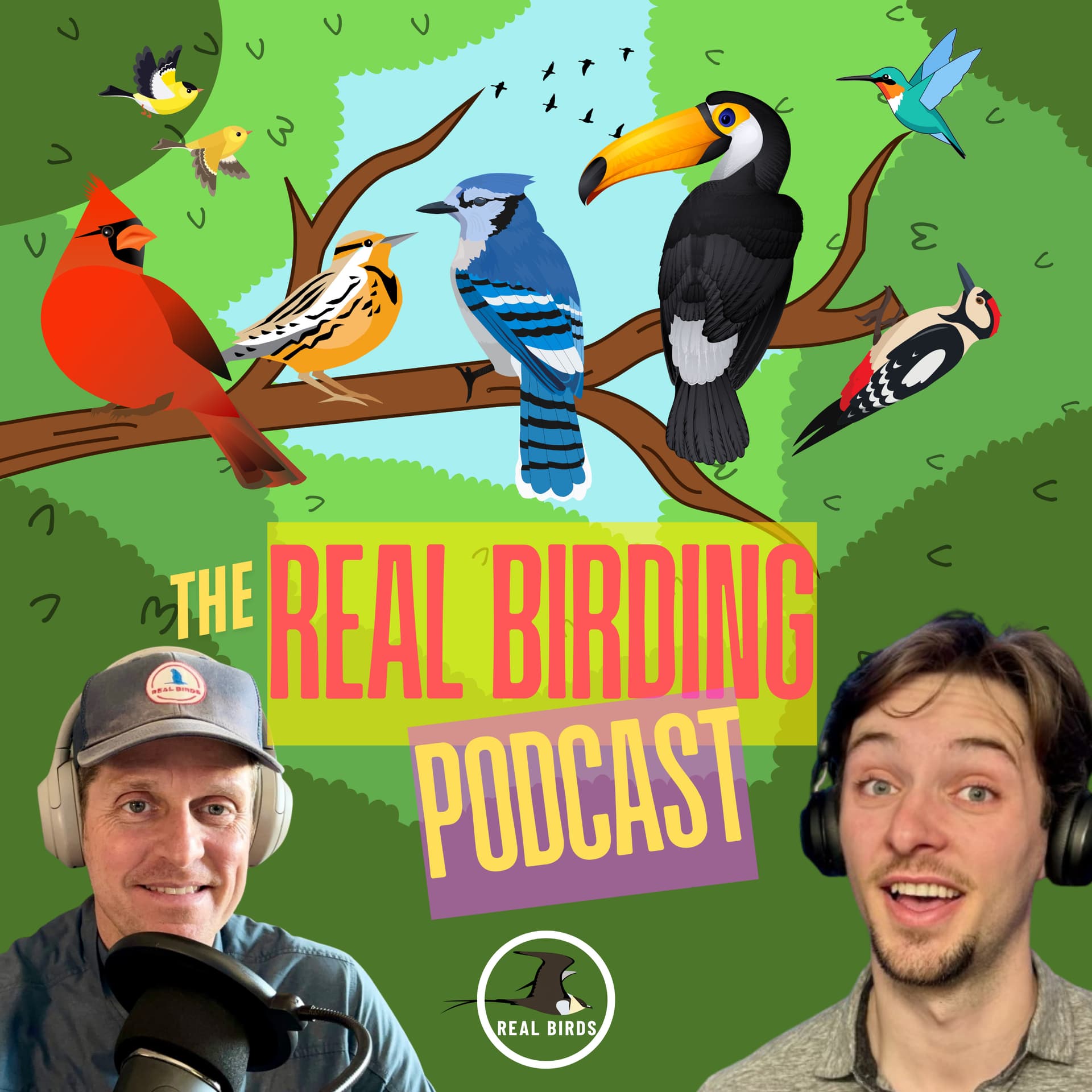 The Real Birding Podcast - Podcasts