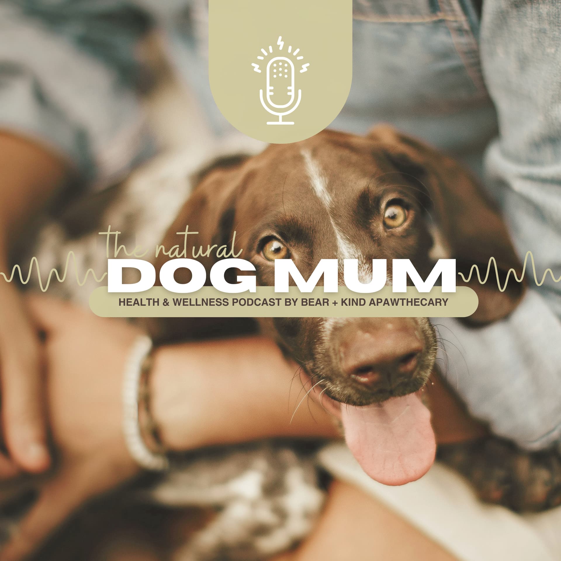 The Natural Dog Mum - Podcasts