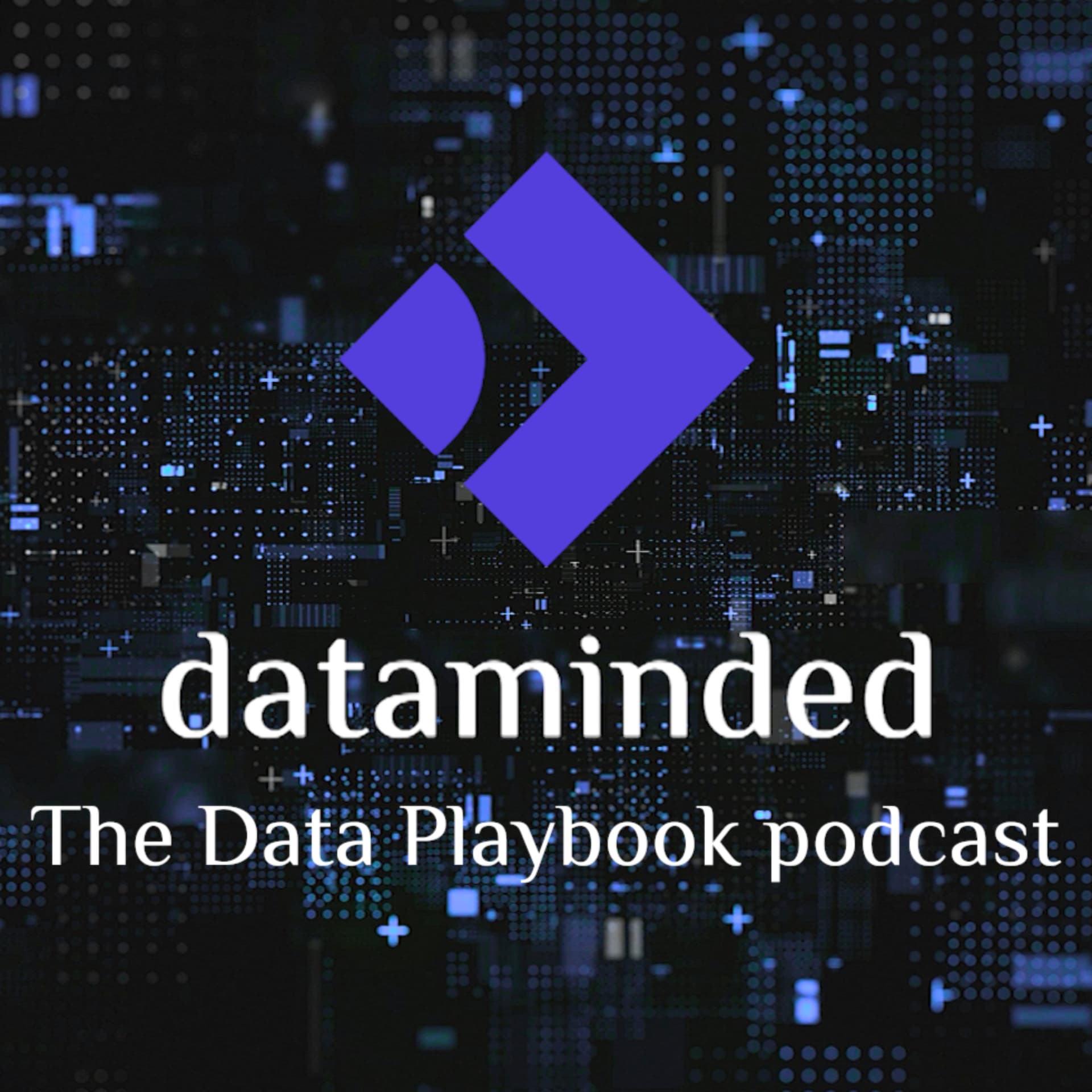 The Data Playbook Podcast - Podcasts