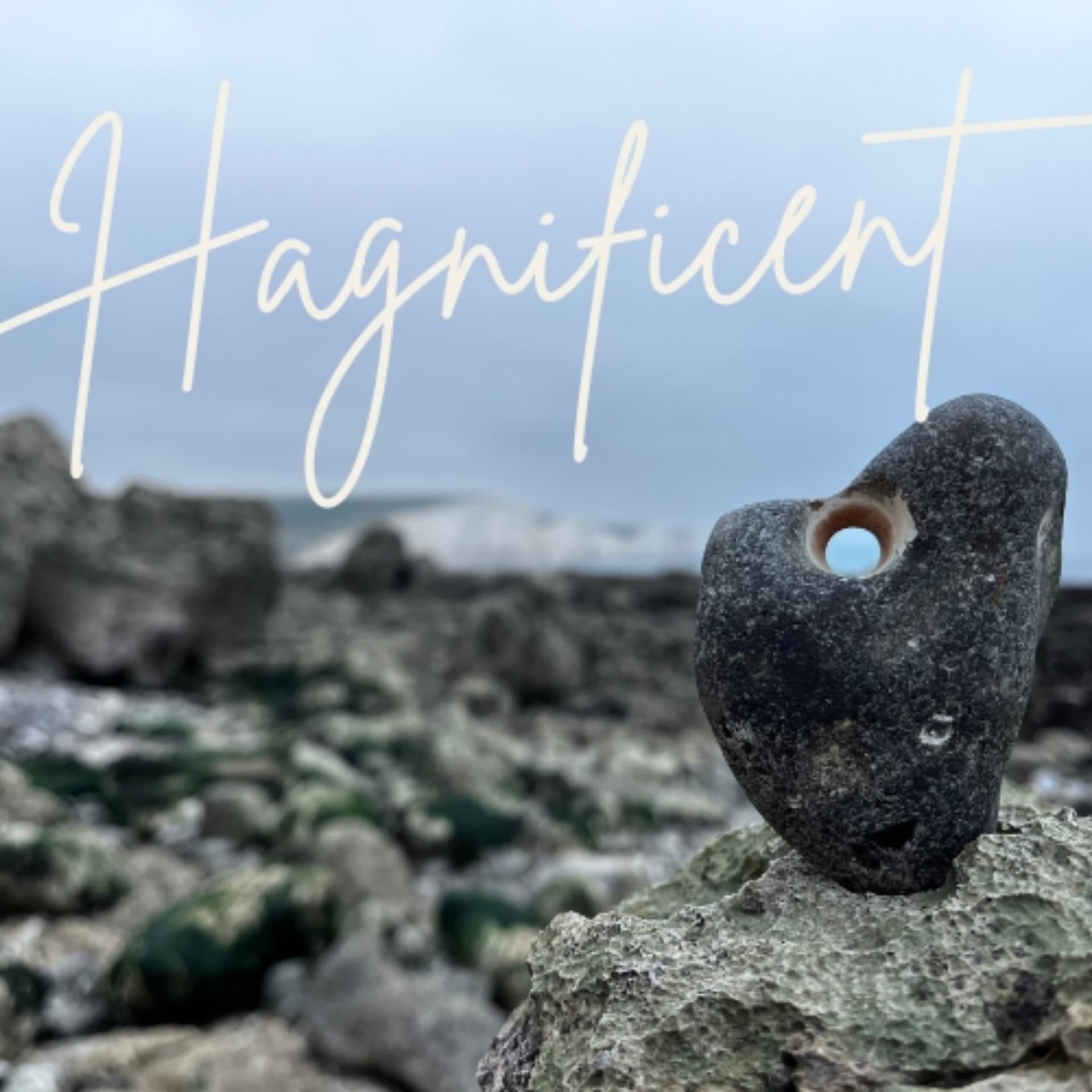 The Hagnificent Podcast - Podcasts