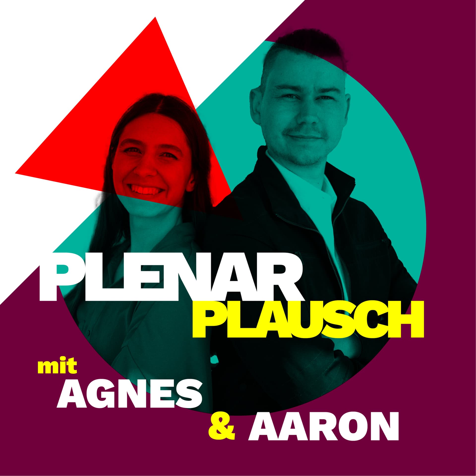 Plenarplausch - Podcasts
