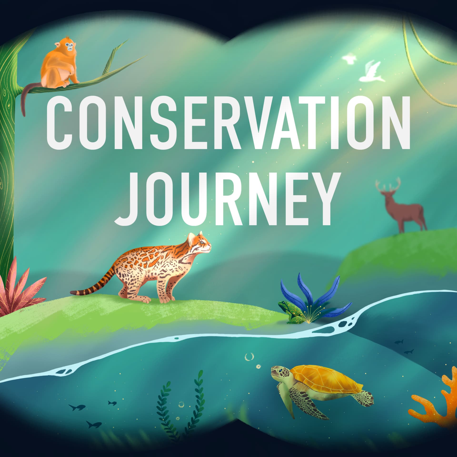 Conservation Journey - Podcasts