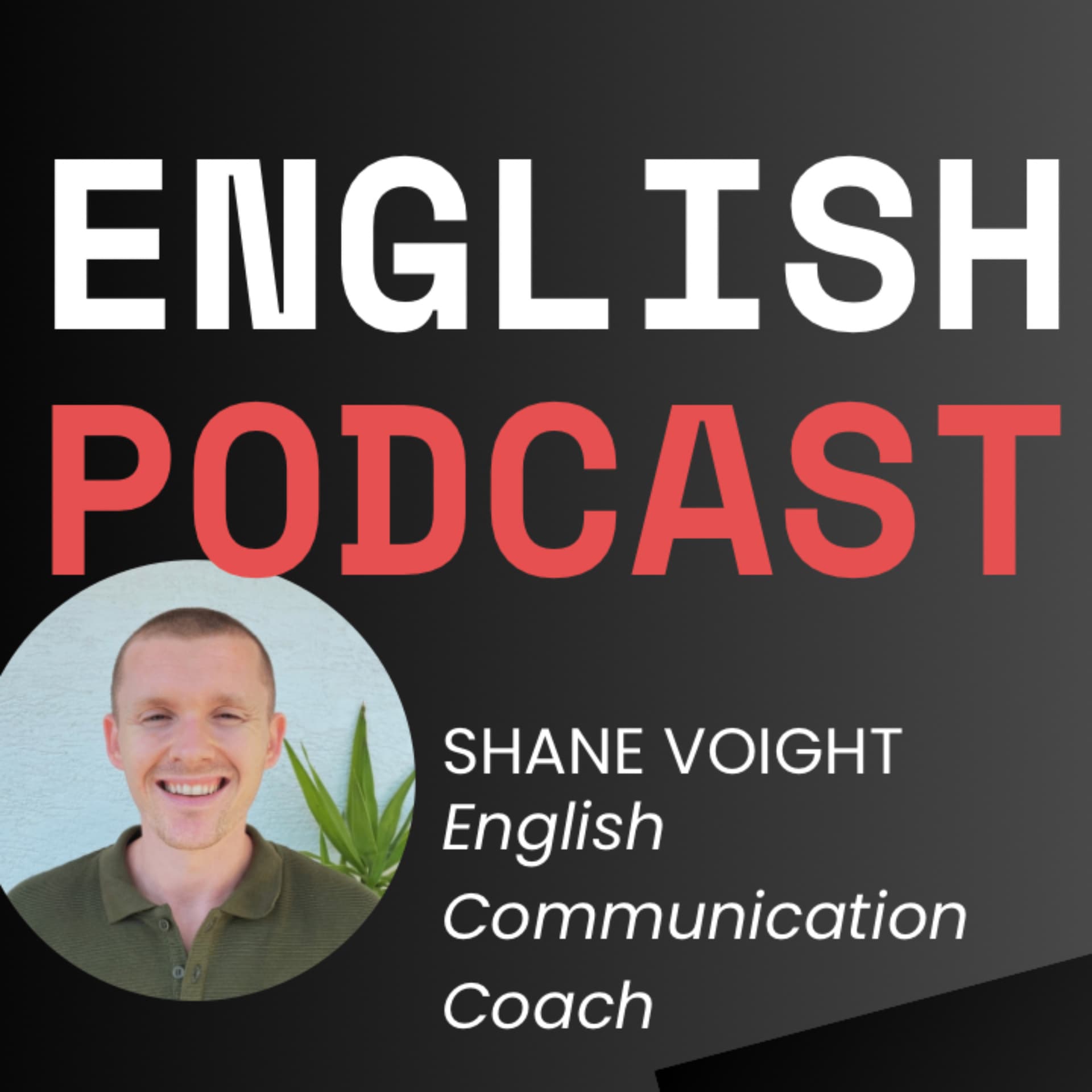 VALLHO English Communication for International Professionals - Podcasts