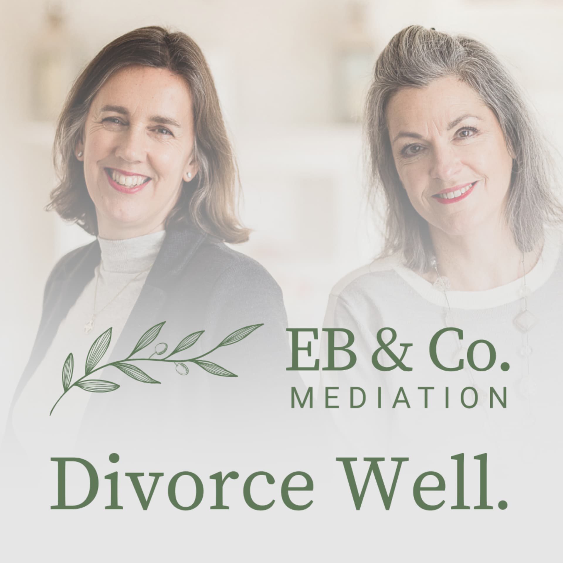 The EB & Co. Mediation Podcast - Podcasts