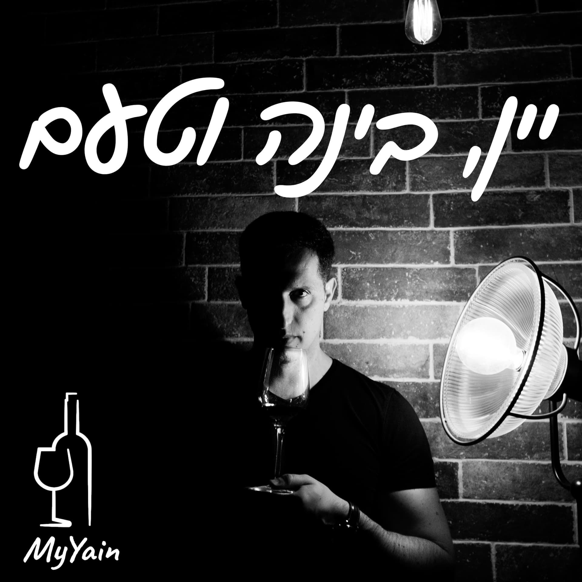 יין בינה וטעם - Podcasts