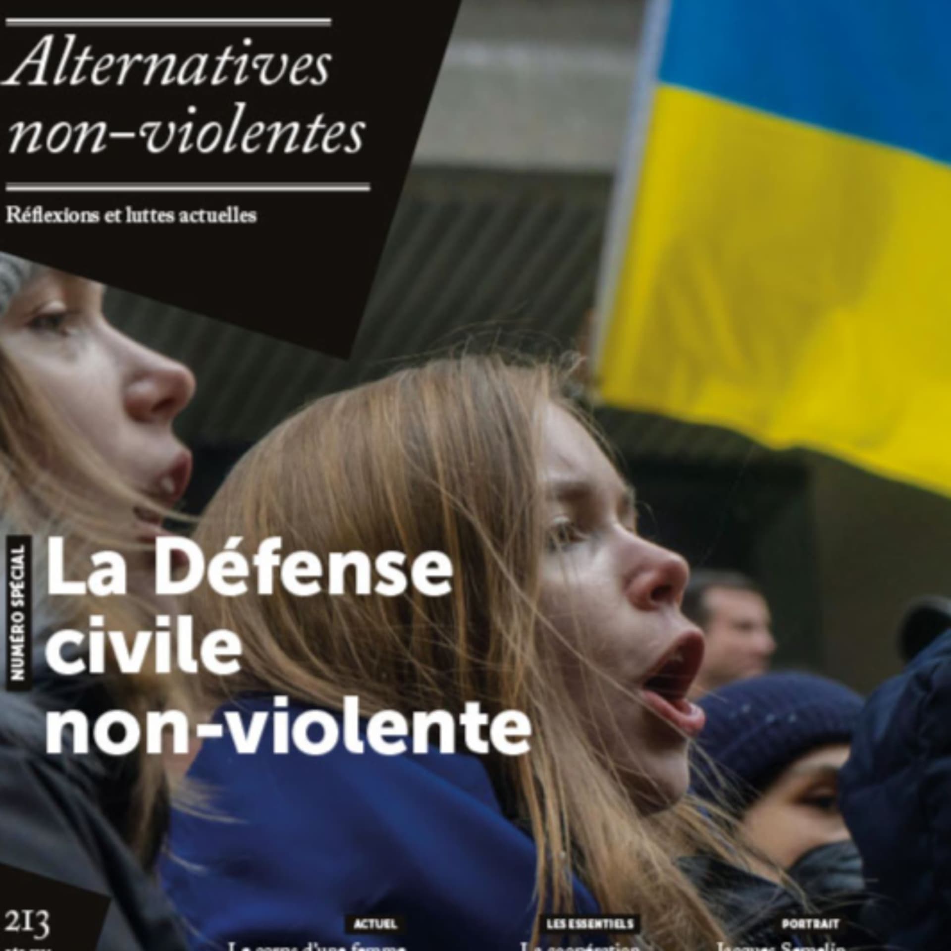Défense Civile Non Violente: la seule véritable façon d'assurer notre sécurité et notre démocratie ? - Podcasts