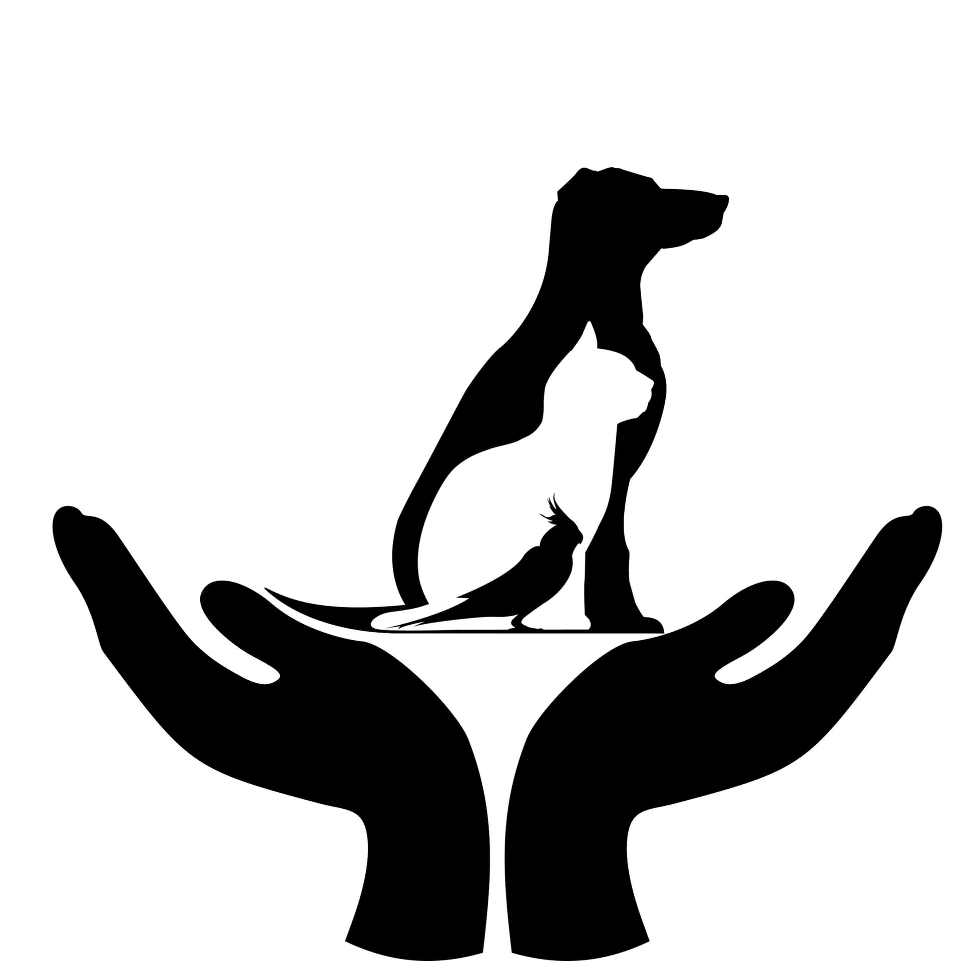APA HAI - Podcasts