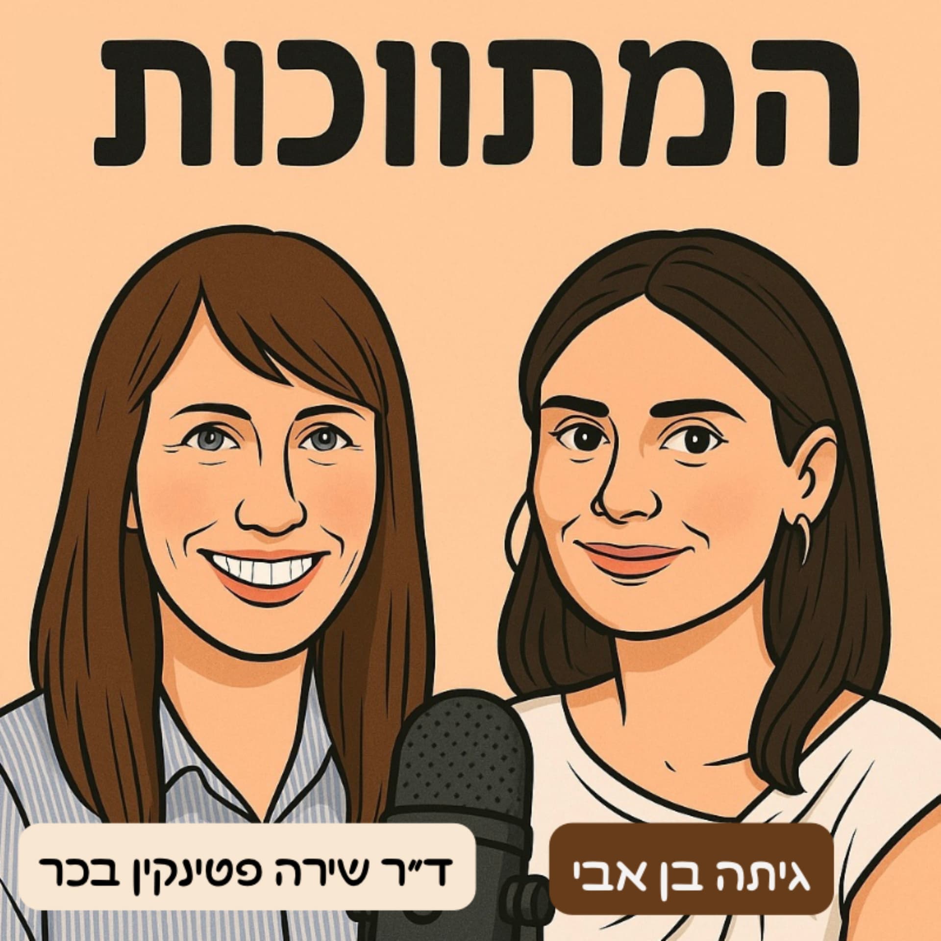 המתווכות