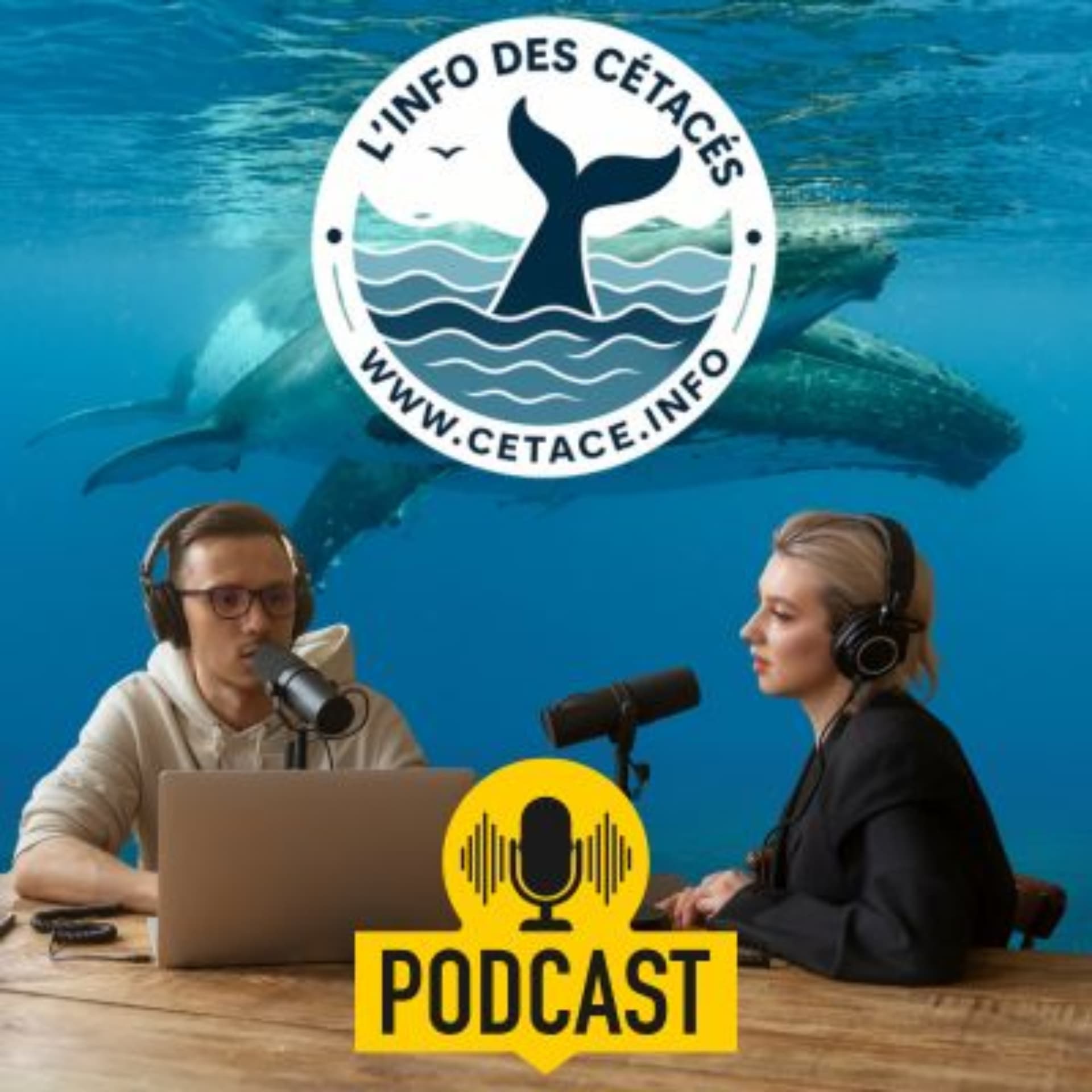 L'info des cétacés - Podcasts