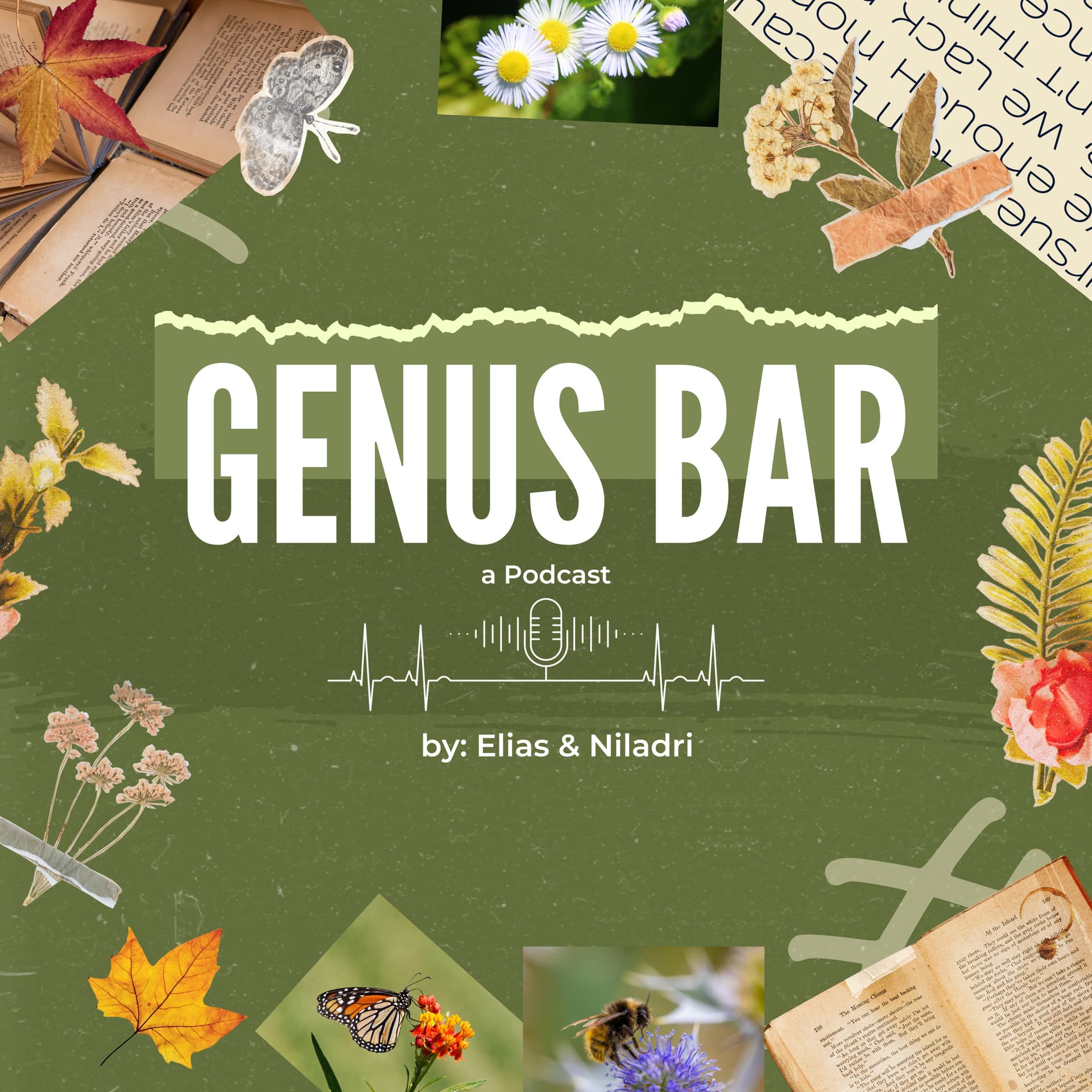 Genus Bar - Podcasts