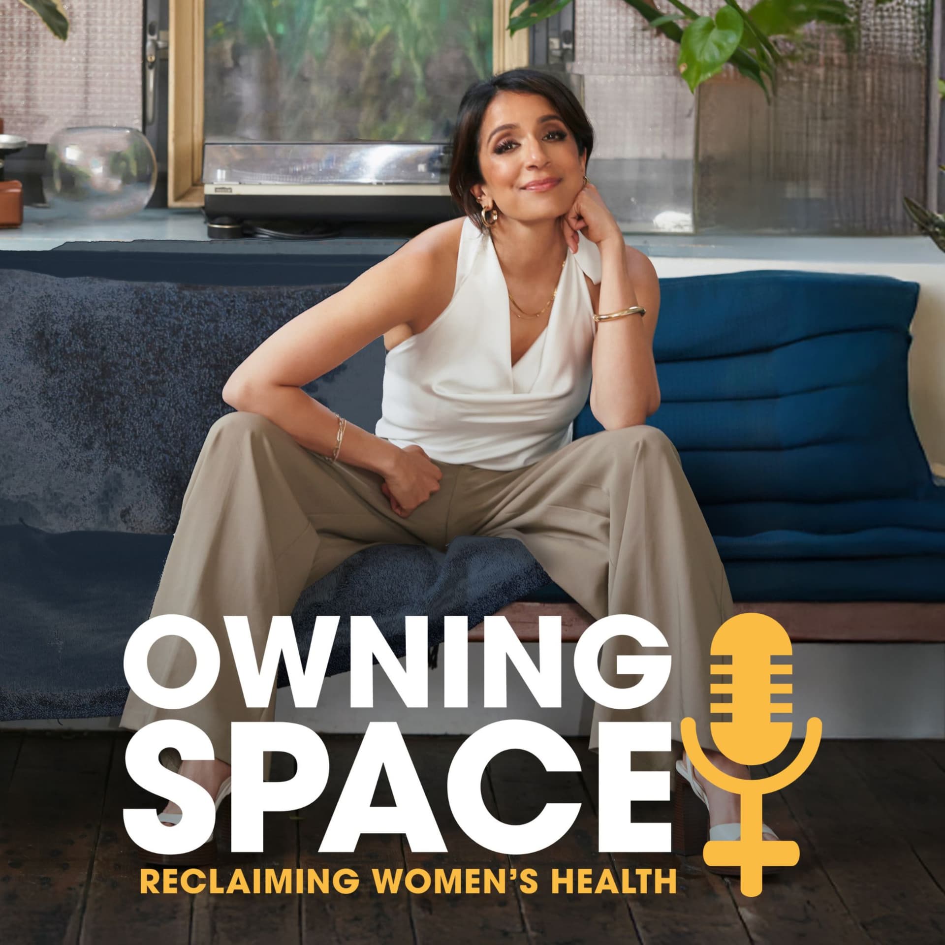 Owning Space - Podcasts