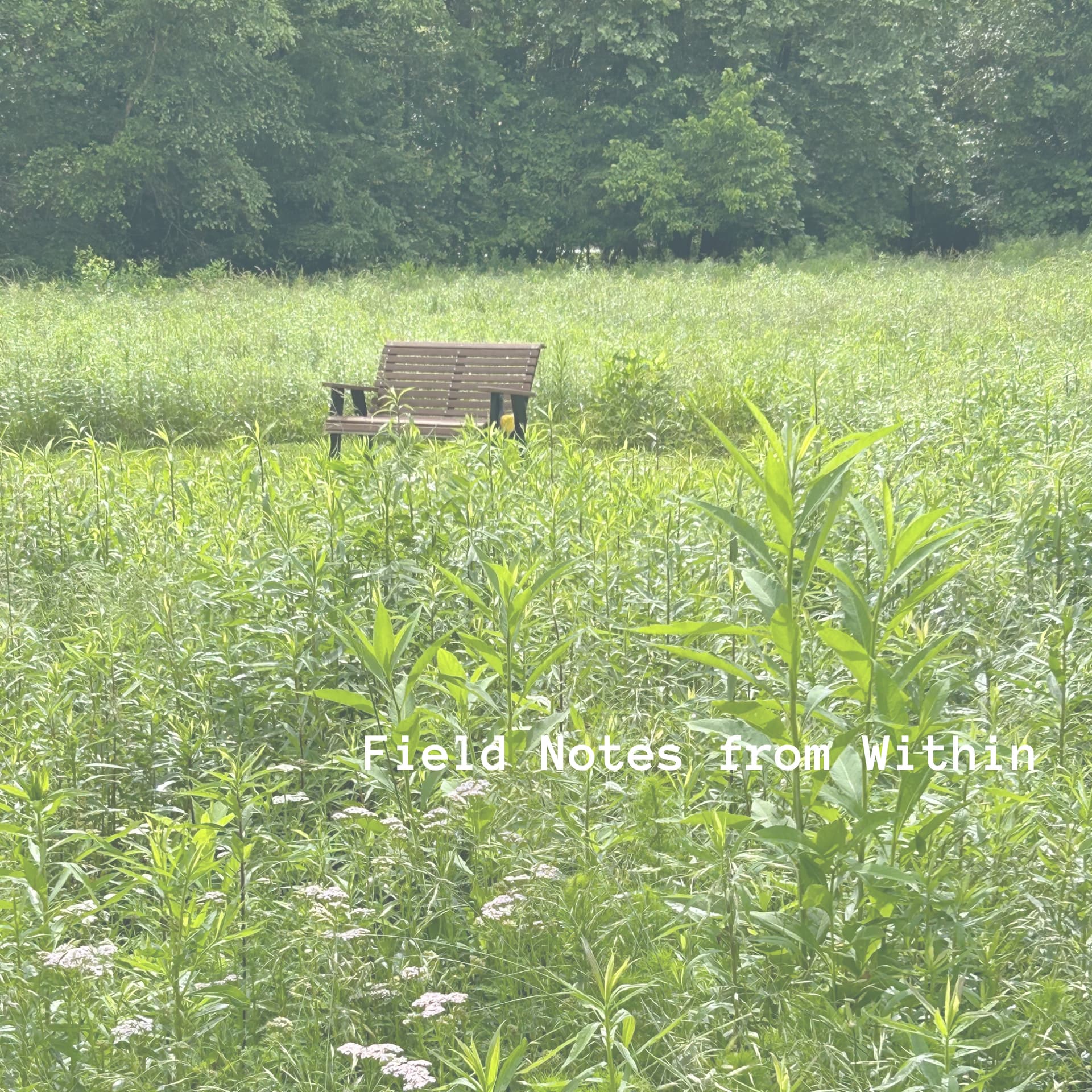 Field Notes from Within - Podcasts
