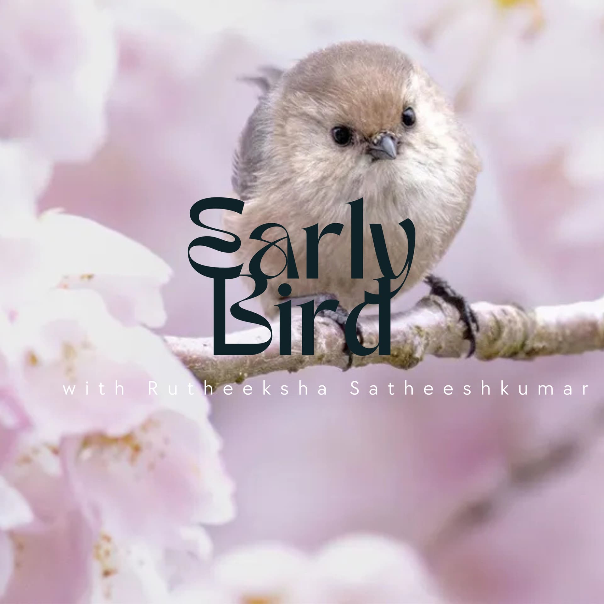 Early Bird weekly podcast - Podcasts